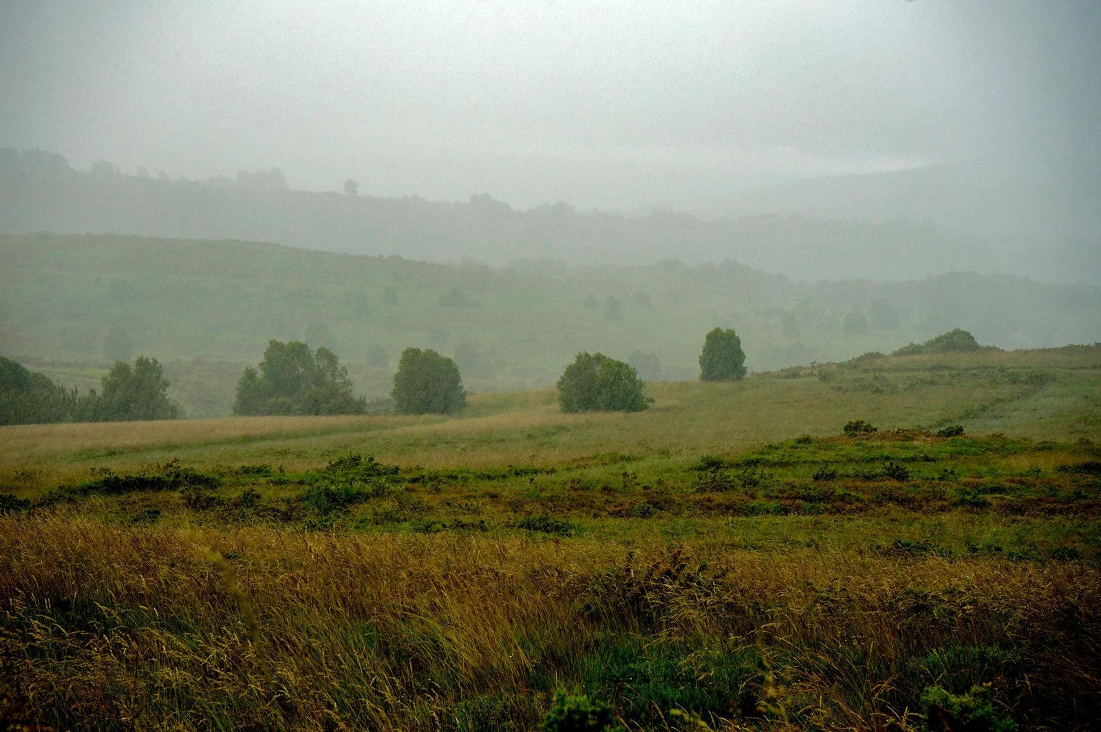 19.06.2024.Verea.Tesouros.Bangueses.