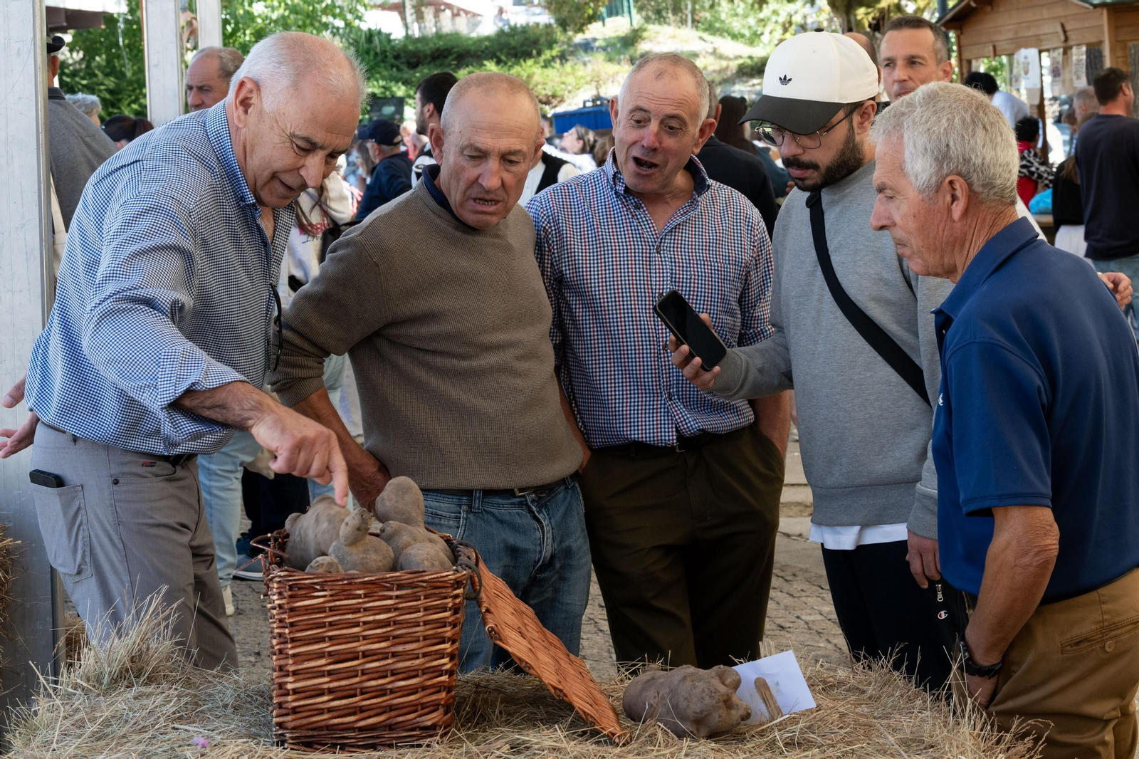Galería | Vilar de Barrio disfruta un año más con al Festa da Pataca