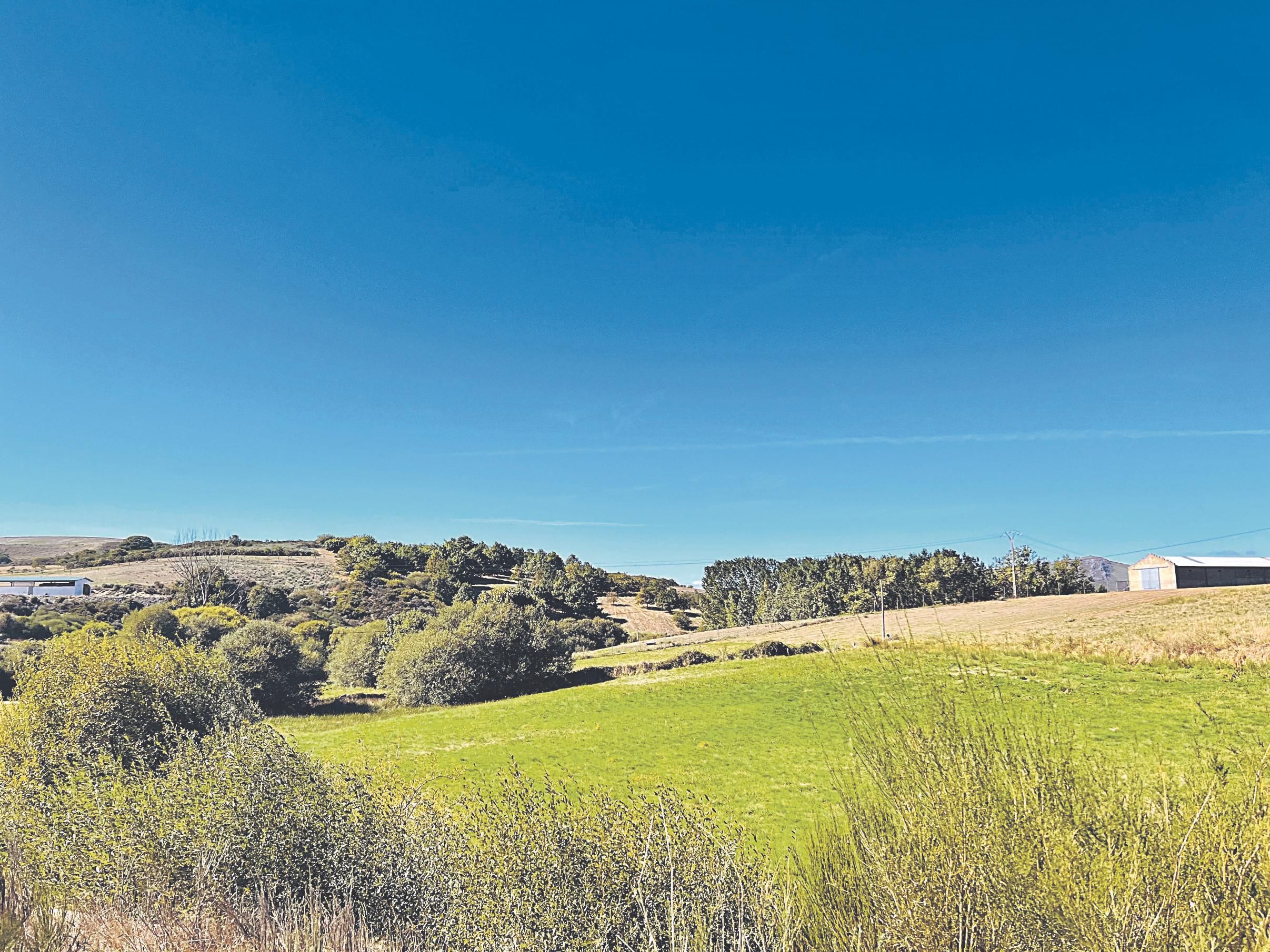 Zona de “A Veiga” donde se enmarca la ruta organizada.