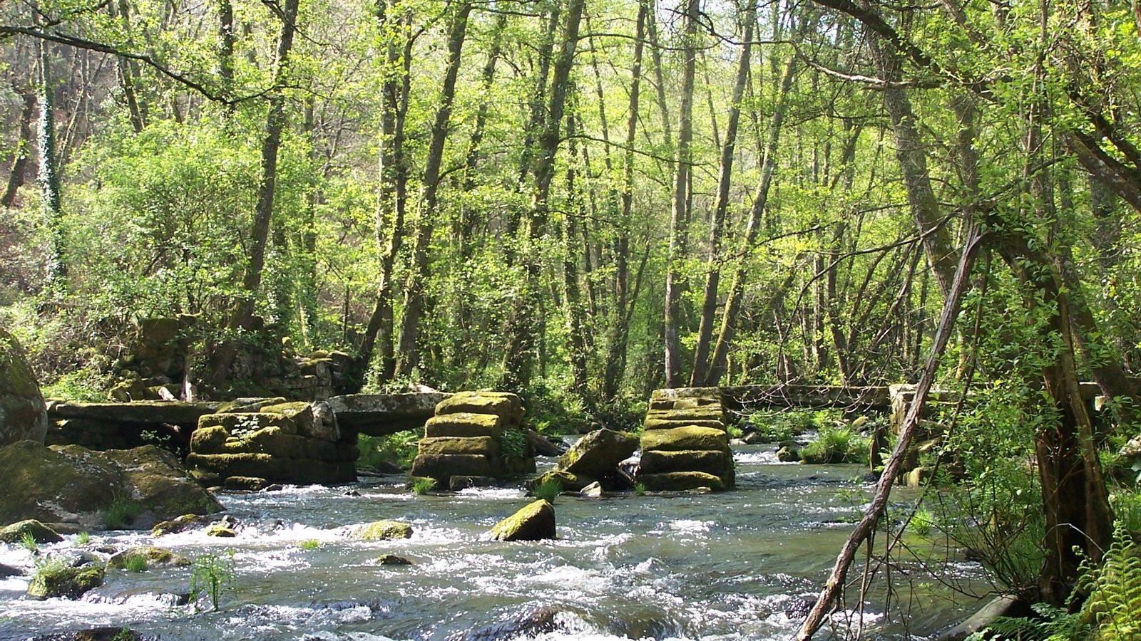 Arnoia. Rubillós.