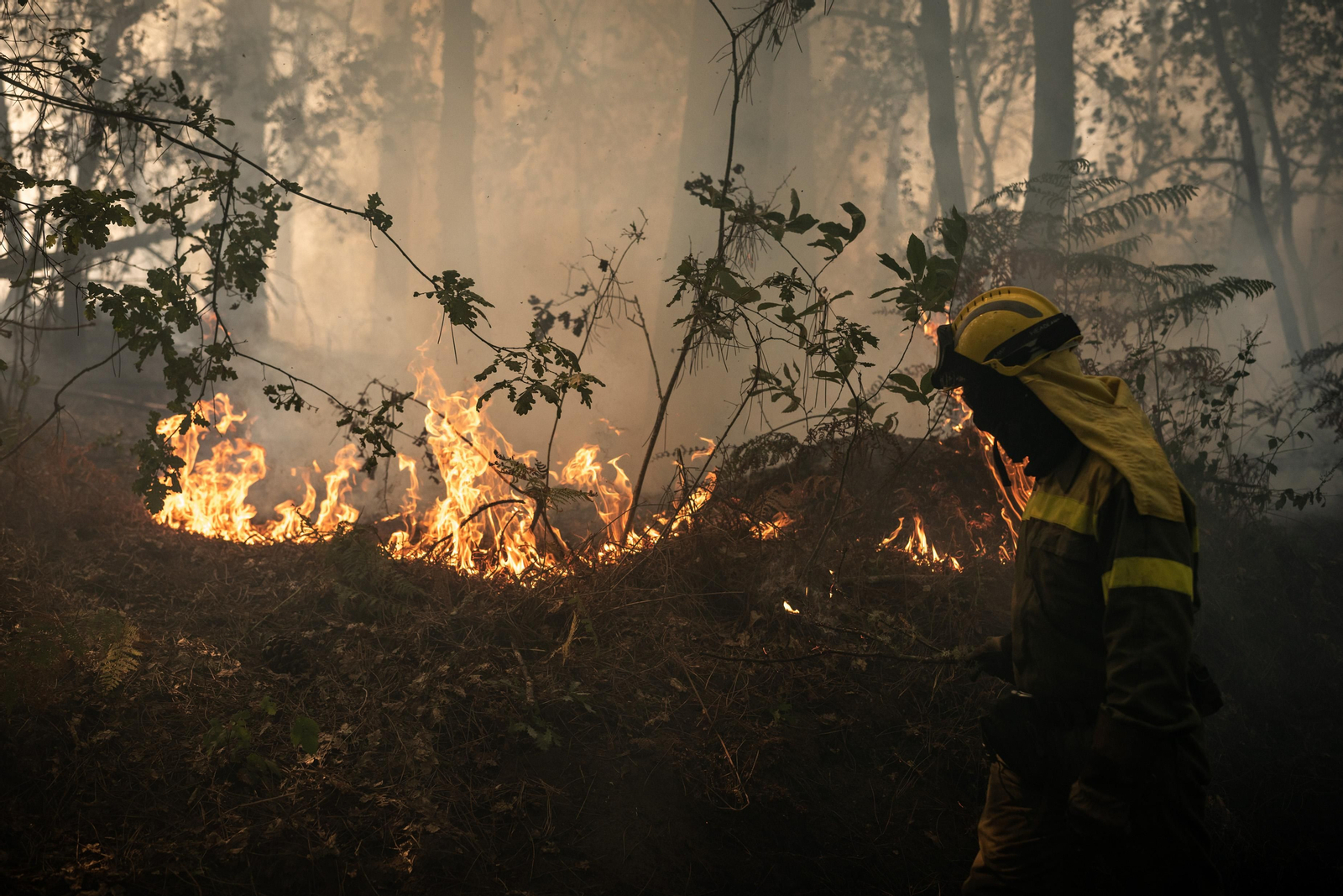 Incendio en O Irixo el pasado año (Foto: Óscar Pinal).