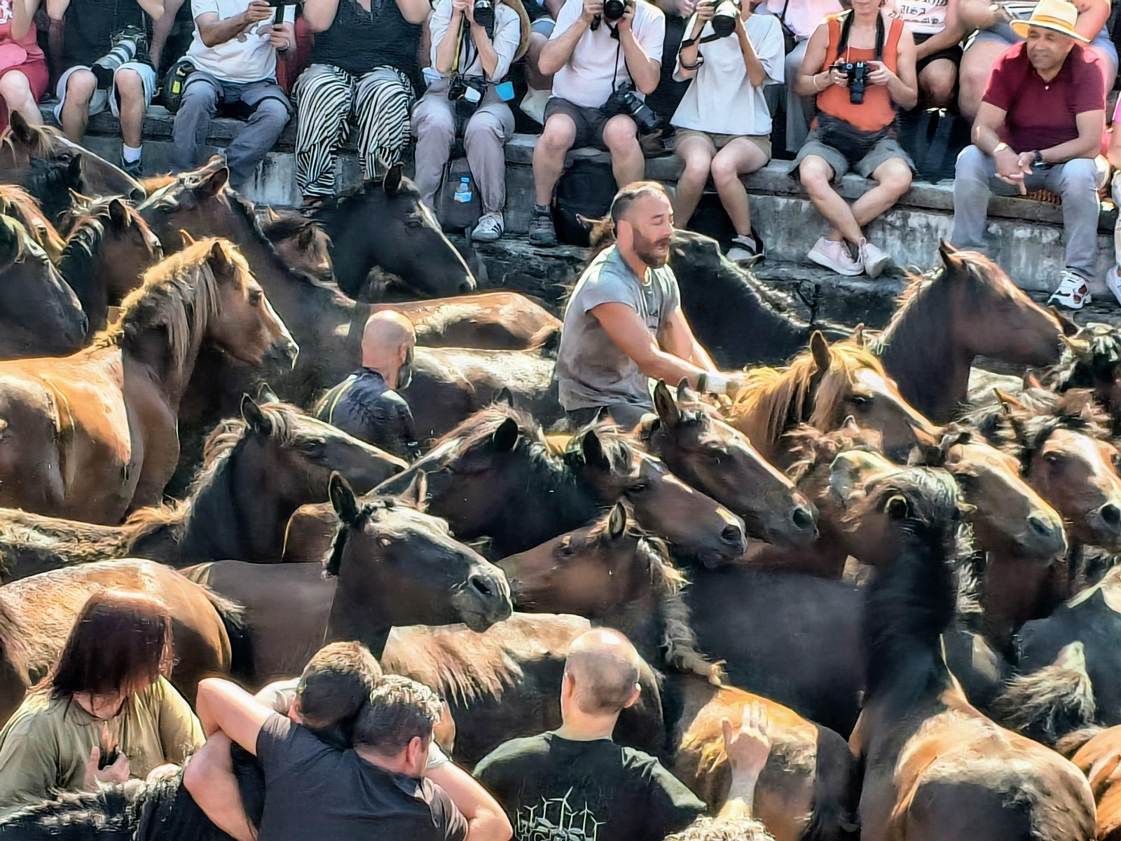 Galería | La Rapa das Bestas desafía al calor en Sabucedo