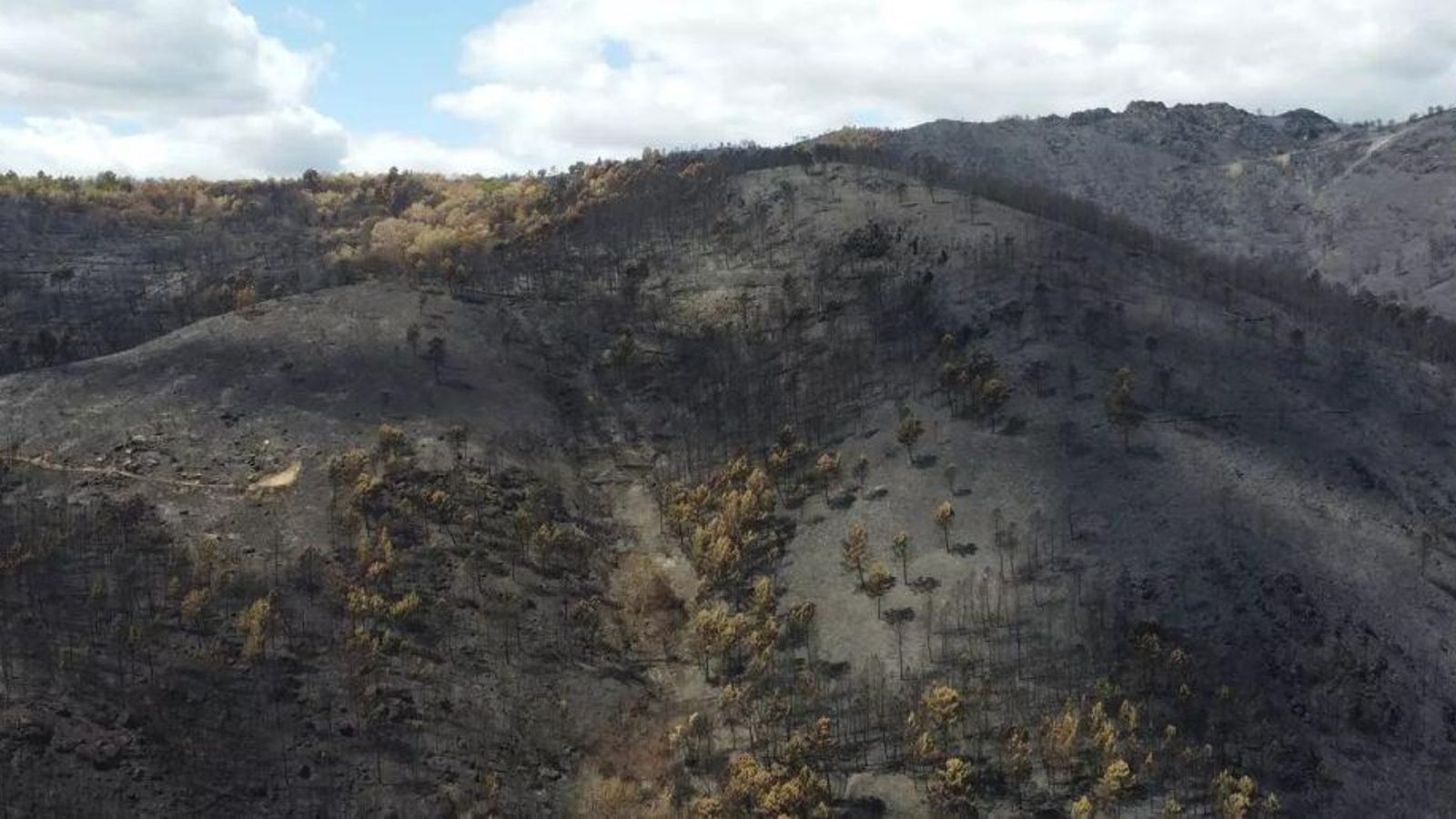 Vista aérea de las consecuencias del fuego desde el mirador de San Martiño (A Rúa), con montes totalmente calcinados por las llamas.
