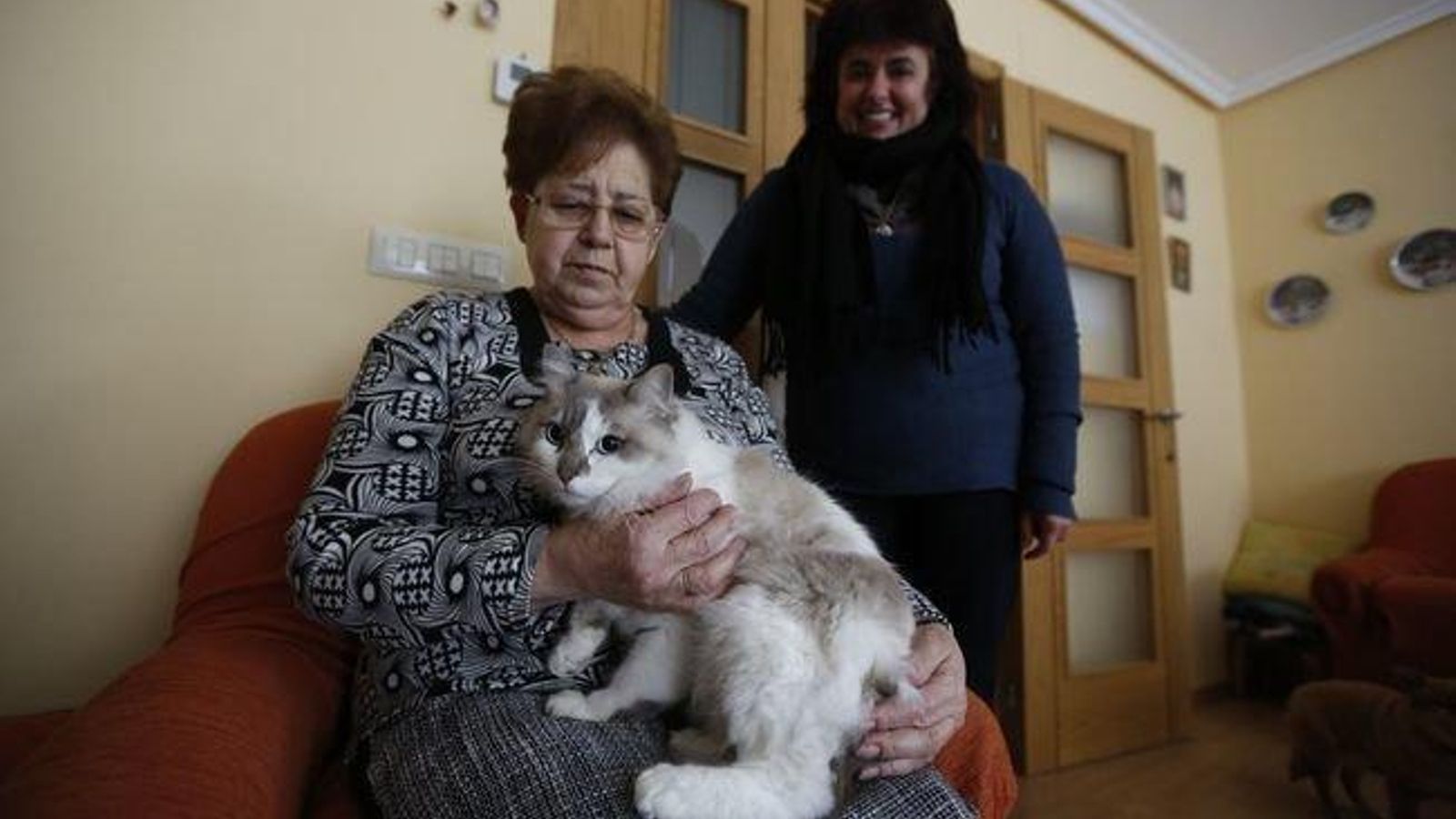 A Valenzá. 13-12-16. Local. Casa de acollida dun gato