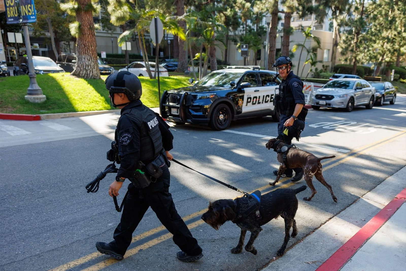 Imágenes de archivo de la policía en Estados Unidos