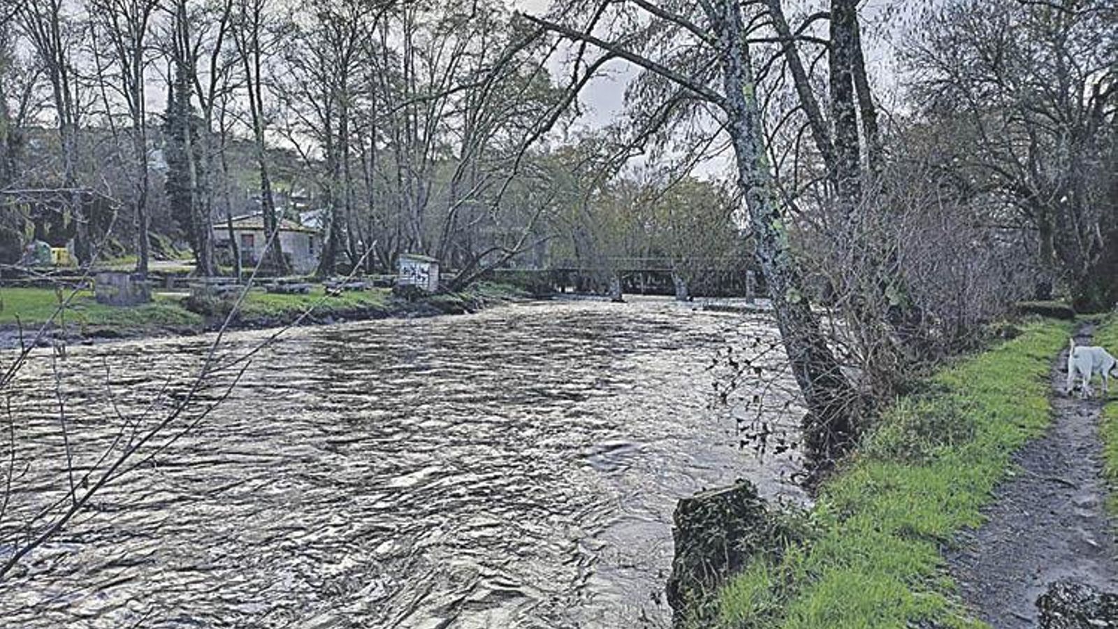 Ribera del Arnoia en Allariz.