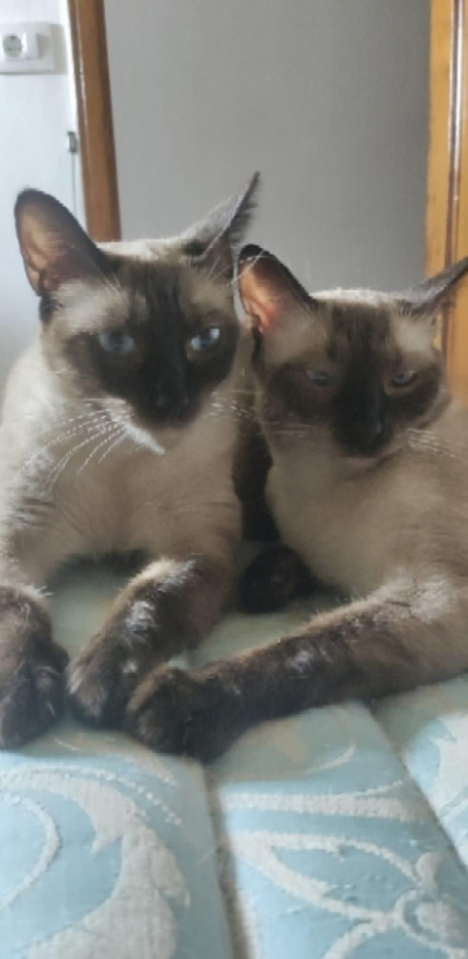 Megara y Azael