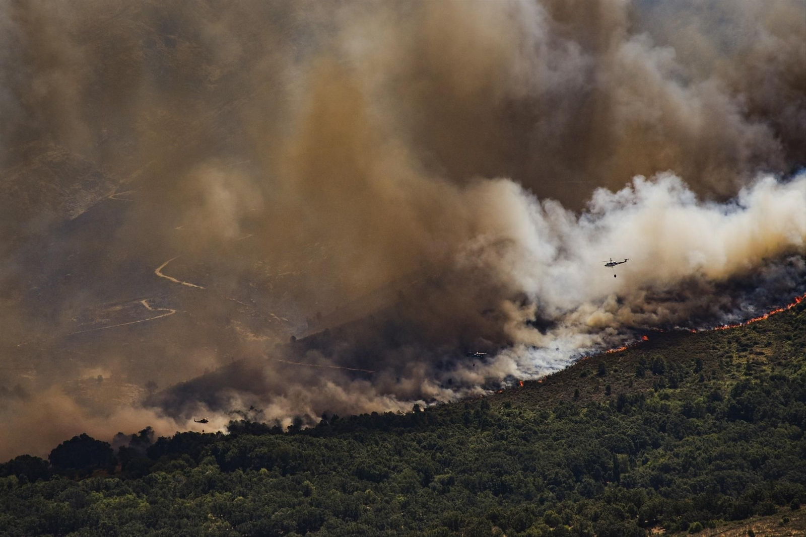 Madrid y Ávila rodeados de incendios forestales en emergencia de interés nacional, en fotos