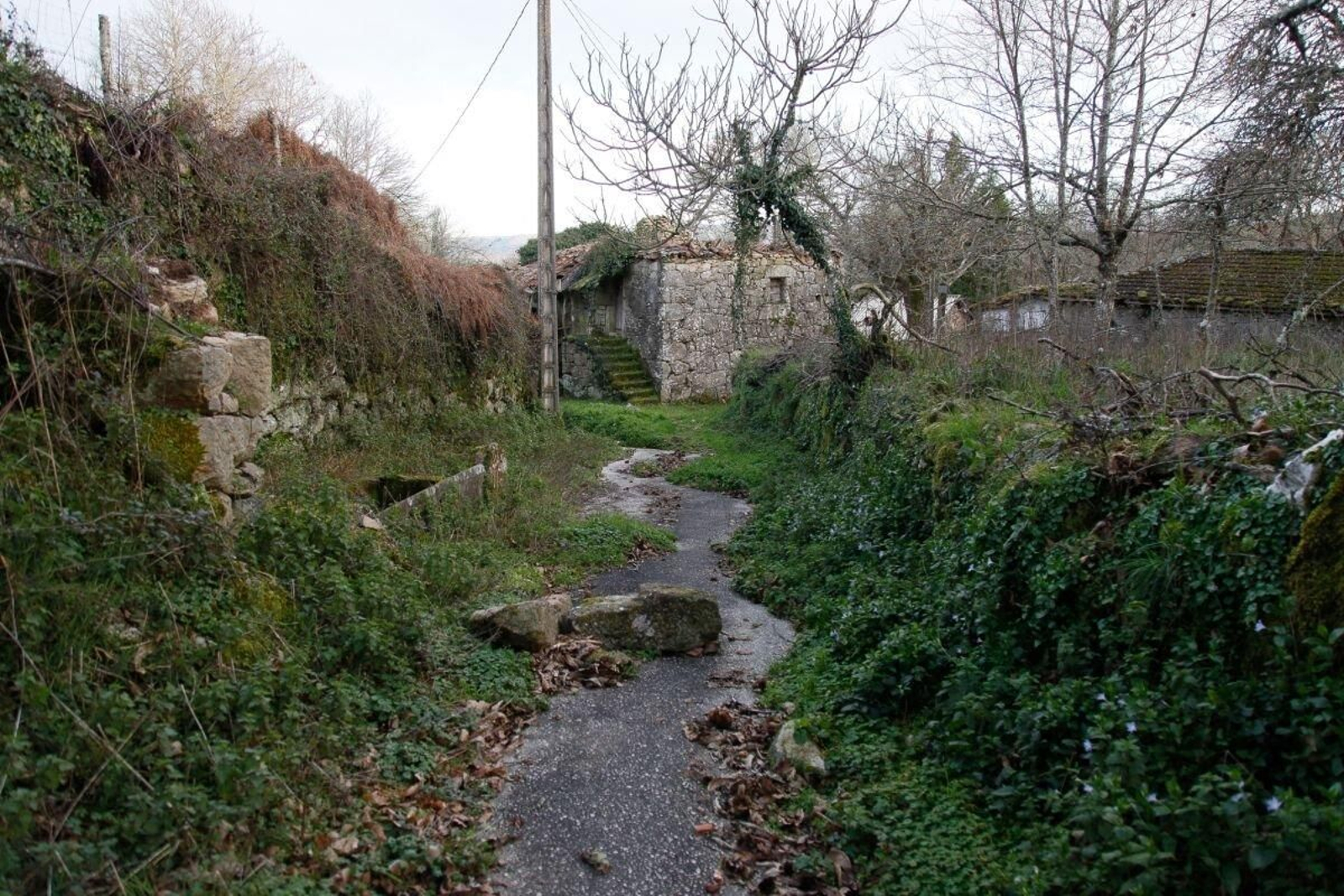 Camino principal de la aldea de Celme.