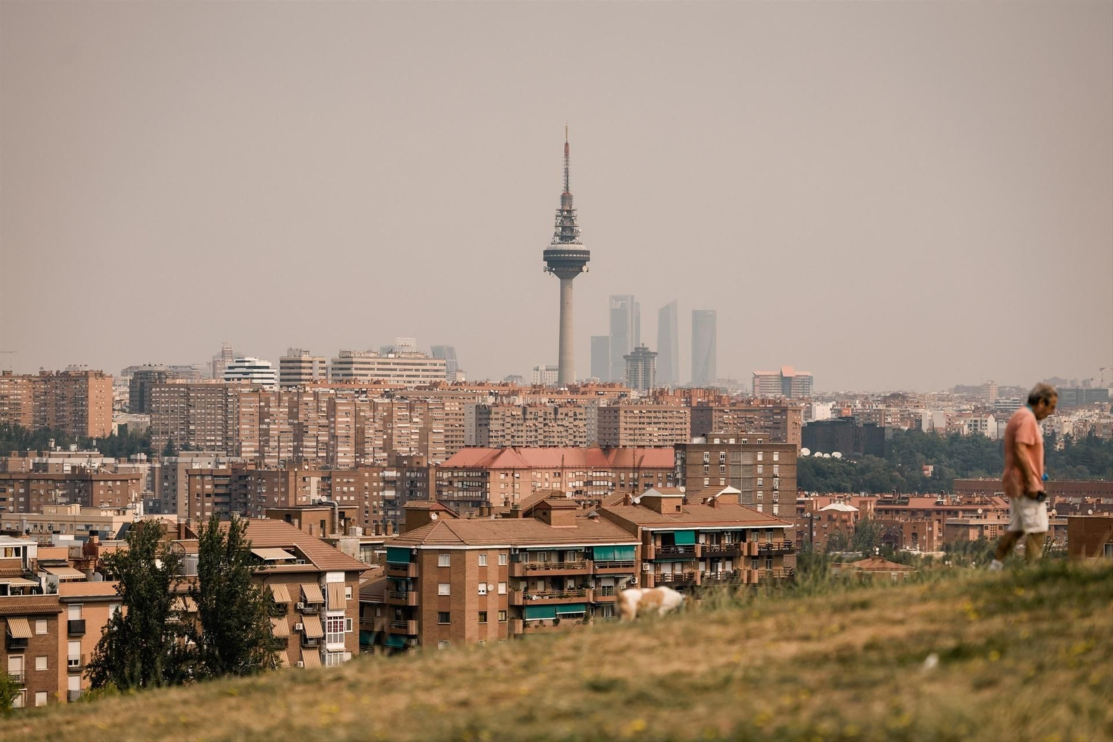 Galería | Madrid vive el incendio forestal más grande de su historia bajo un gran manto de humo