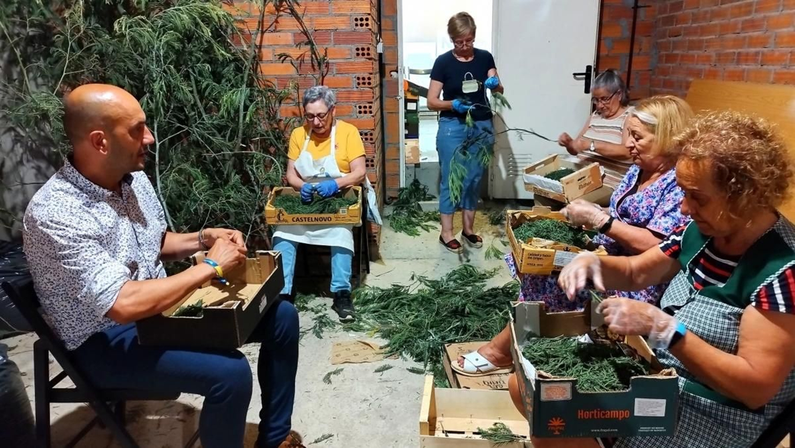 El alcalde, Alejandro Lorenzo se sumó a las voluntarias ayudando en las labores de deshojado para las alfombras.