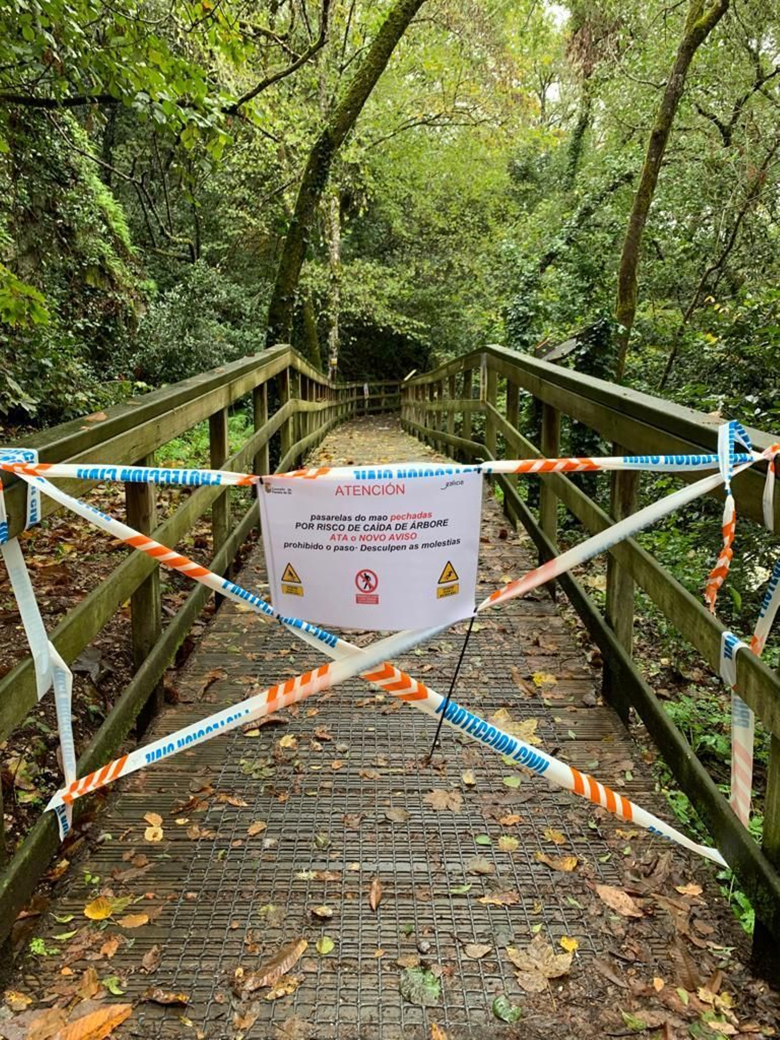 Destrozos de Domingos