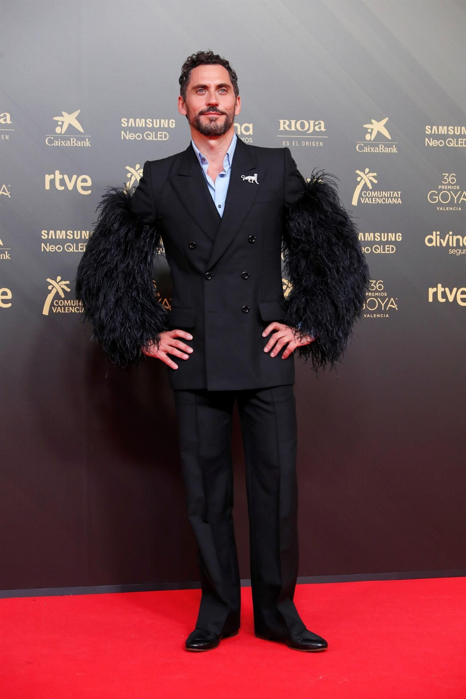 La alfombra roja de la 36ª edición de los Premios Goya. // EFE