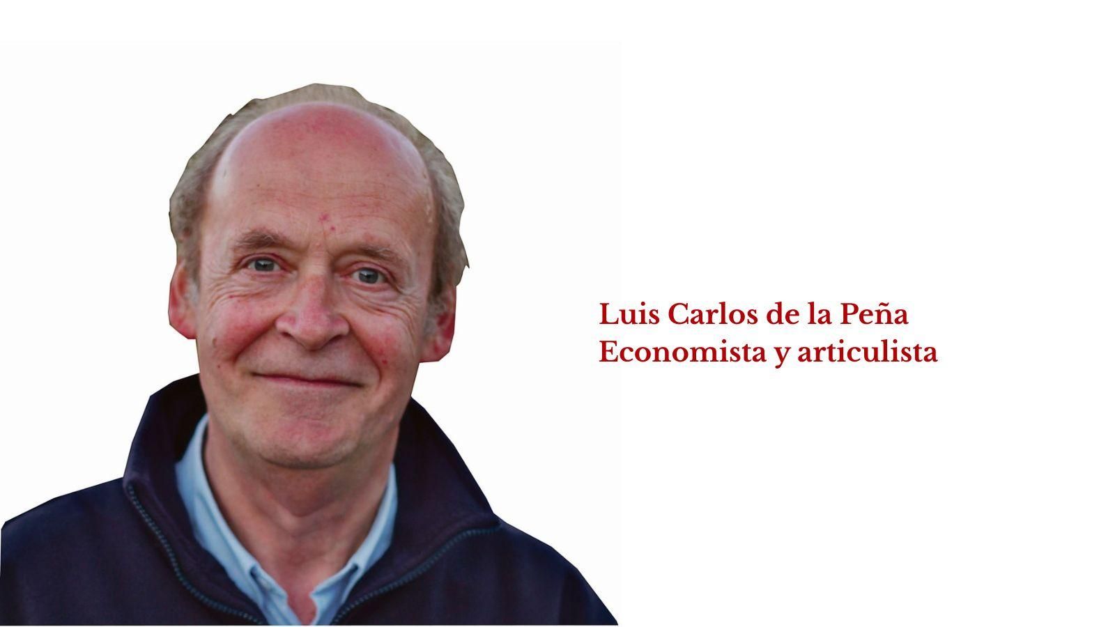 Luis Carlos de la Peña, Economista y articulista.