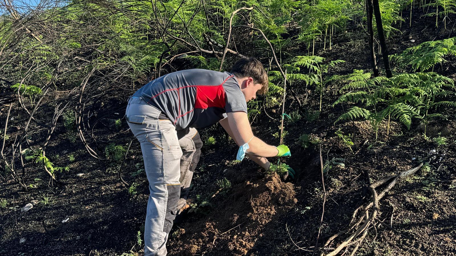 La jornada también incluyó la reforestación del monte.