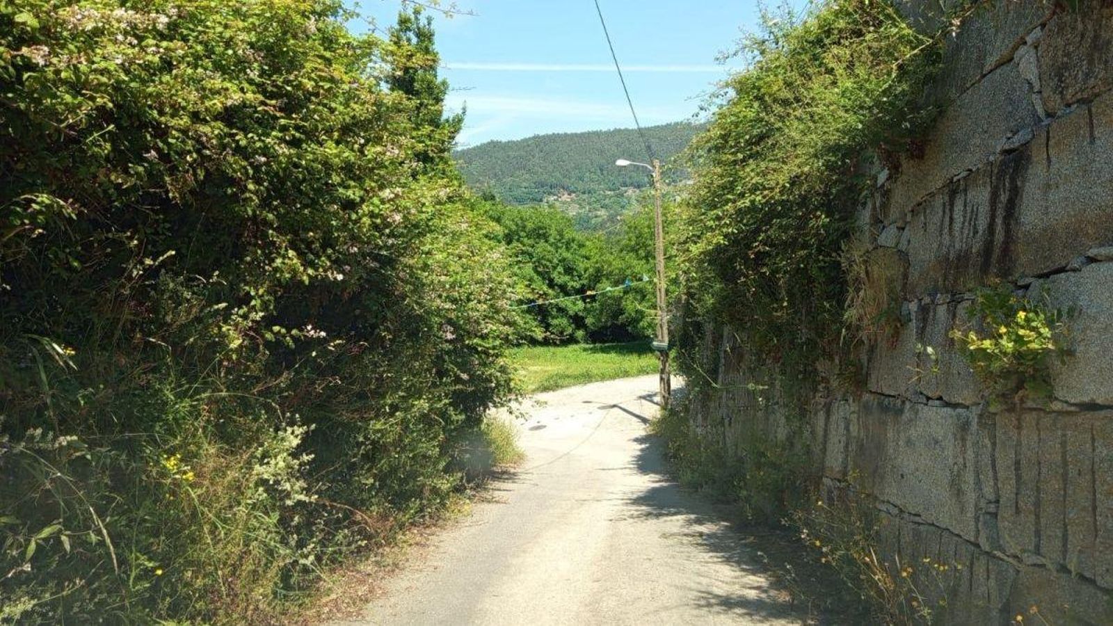 La pista situada en el ayuntamiento de Padrenda está cubierta de maleza.