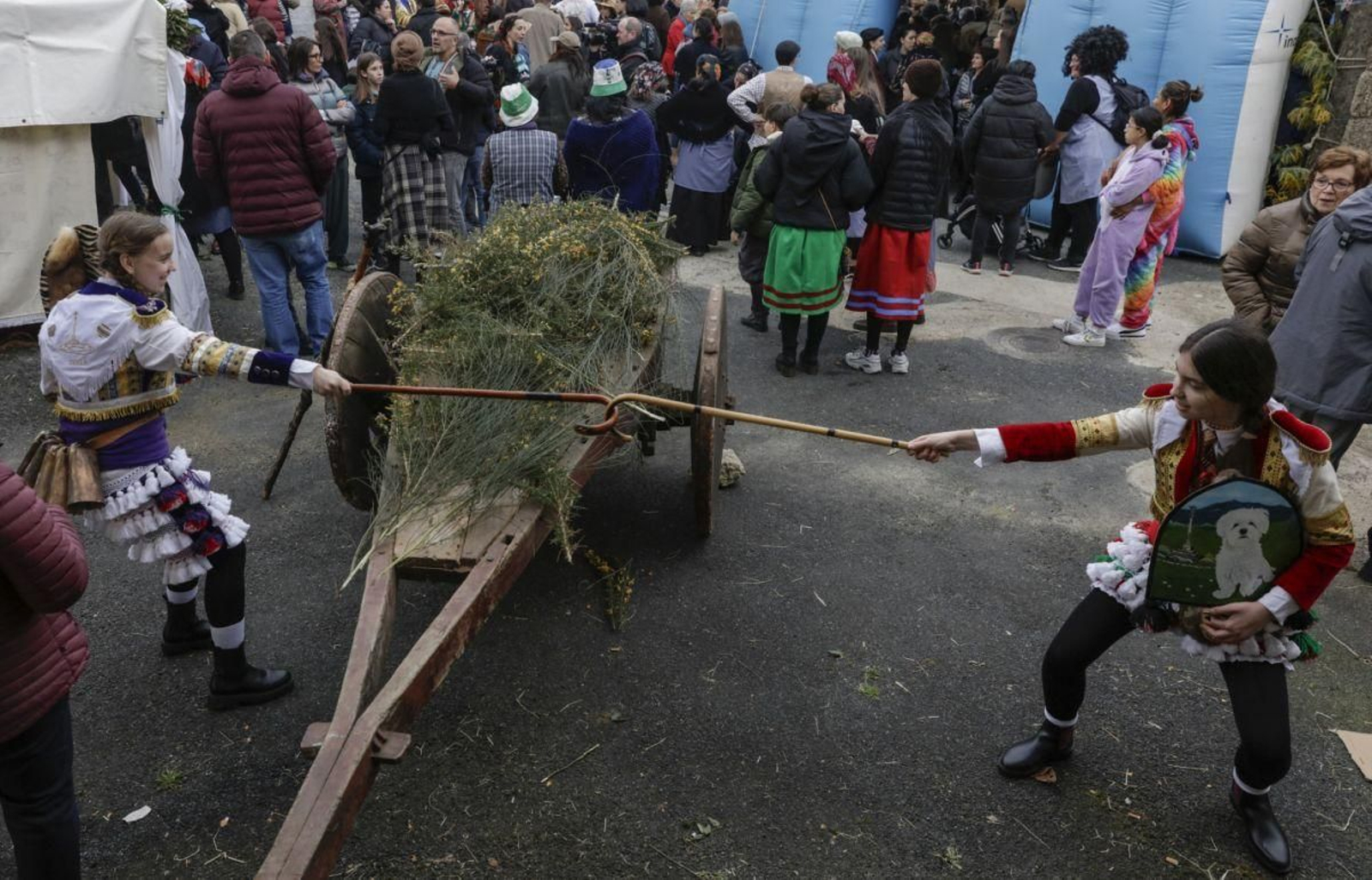 Unha invasión moi amistosa na que no faltaron os felos.