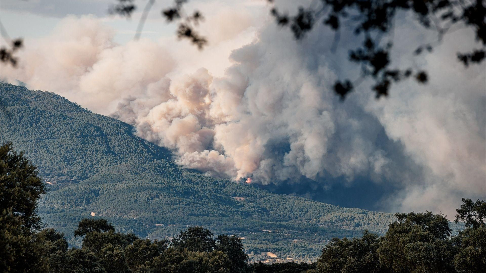 El incendio de Burgohondo obliga a evacuar seis pueblos del Valle del Tiétar ante el avance de las llamas