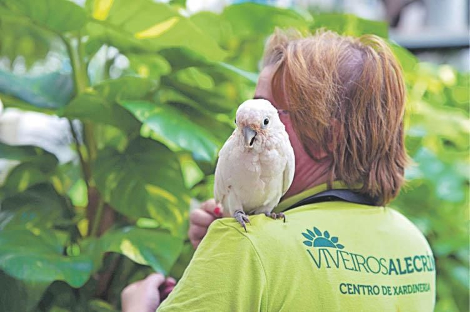 En el comercio también hay lugar para los animales.