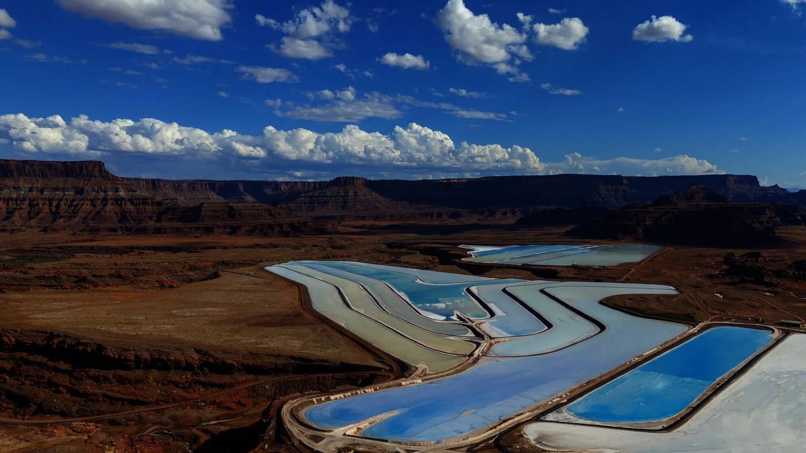 Imágenes finalistas del concurso de fotografía de naturaleza de Stanford