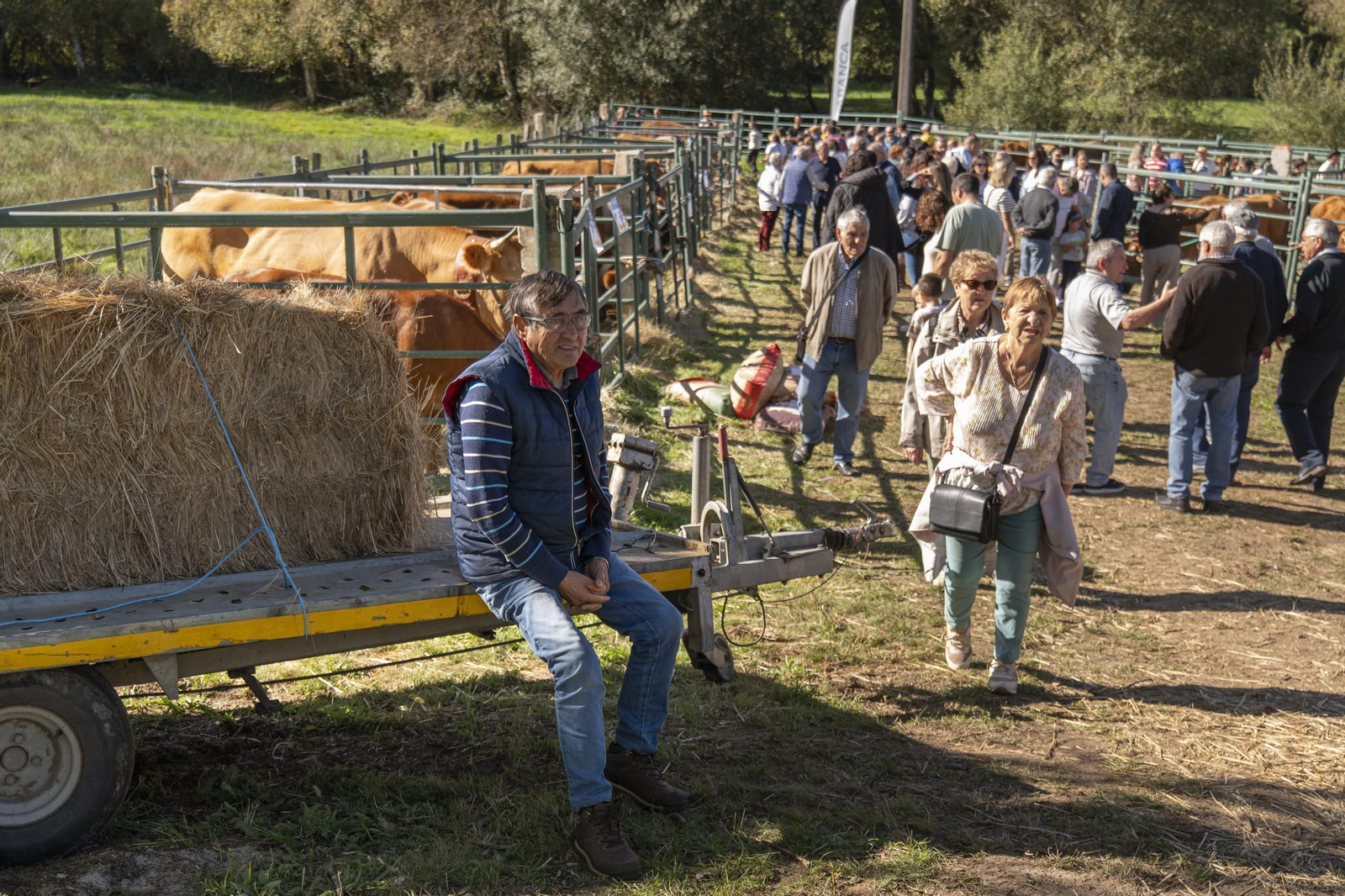Galería | Montederramo presume de carne, ganado y ambiente festivo