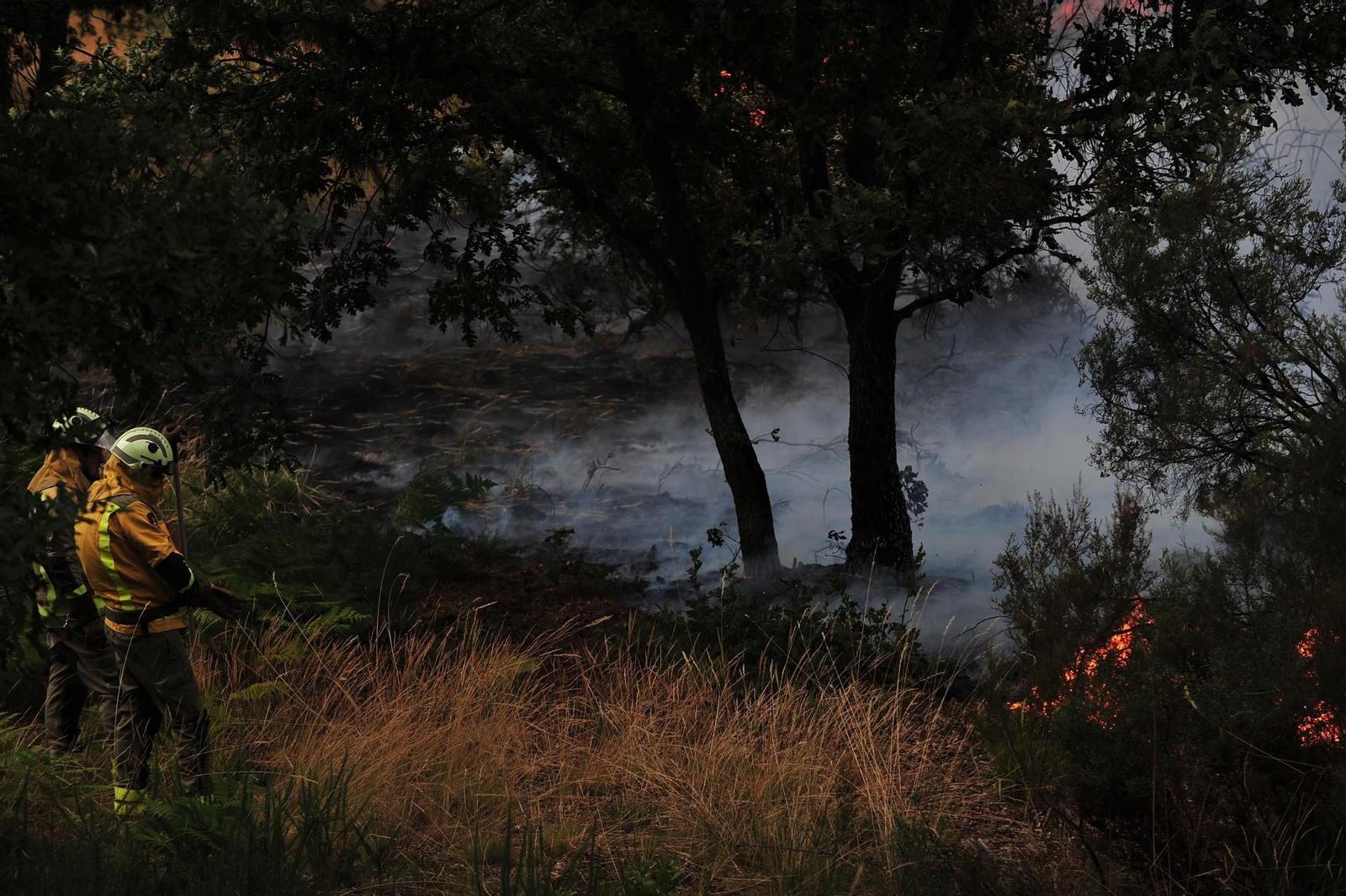 Galería | Despliegue de medios para extinguir un incendio en Rante