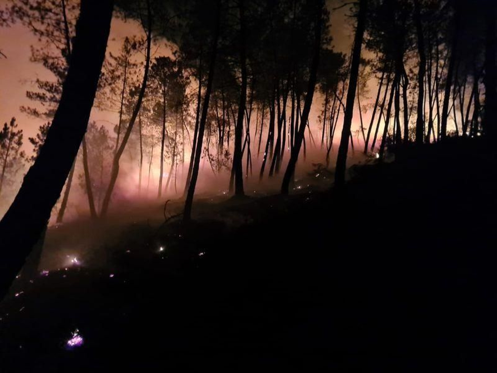 Incendio en Vilar de Barrio