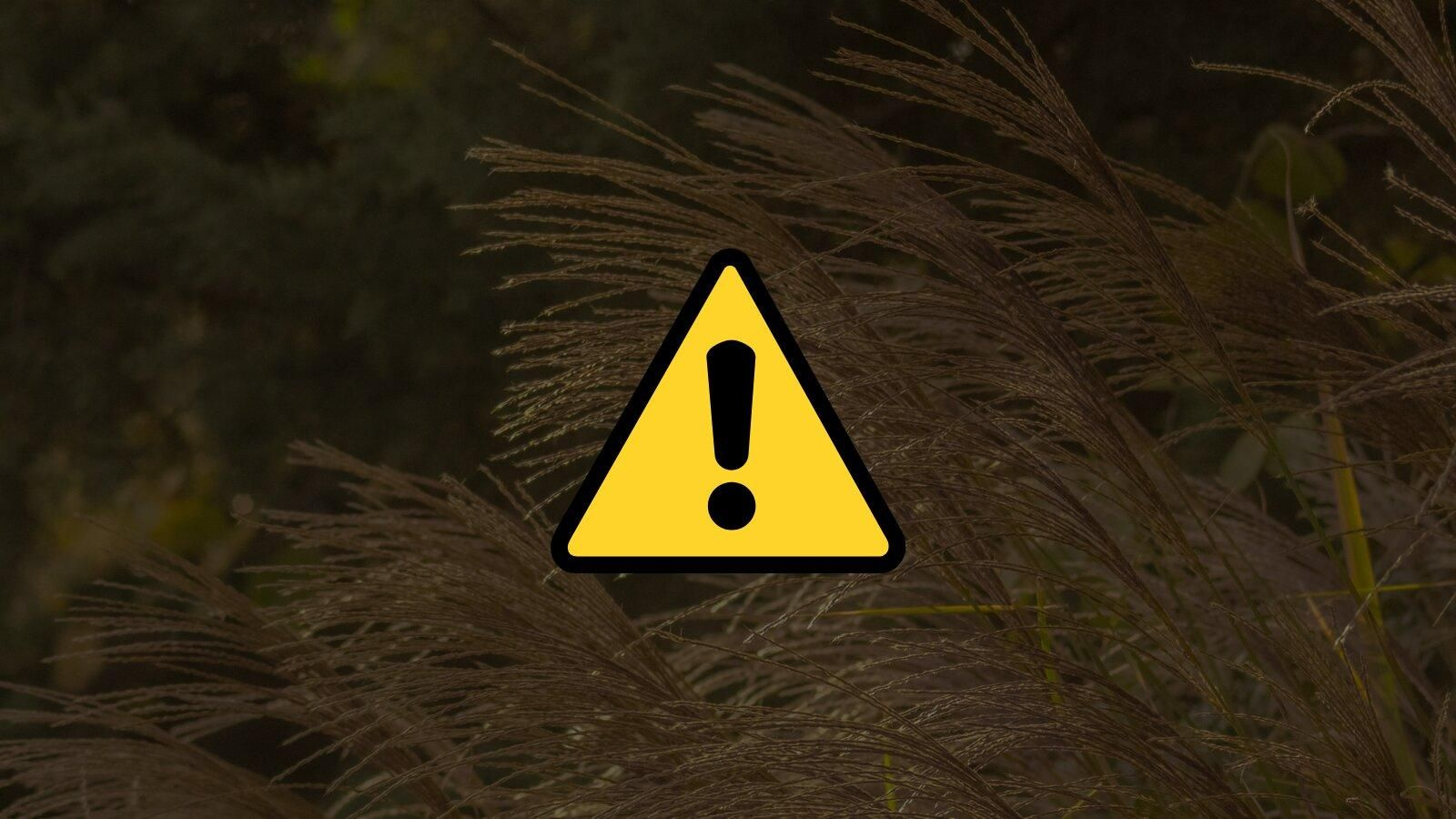 Nueva alerta alimentaria.