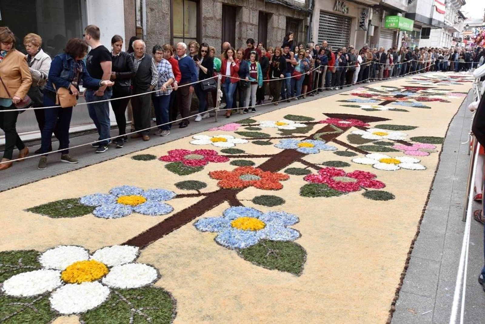 El Corpus en Ponteareas 17