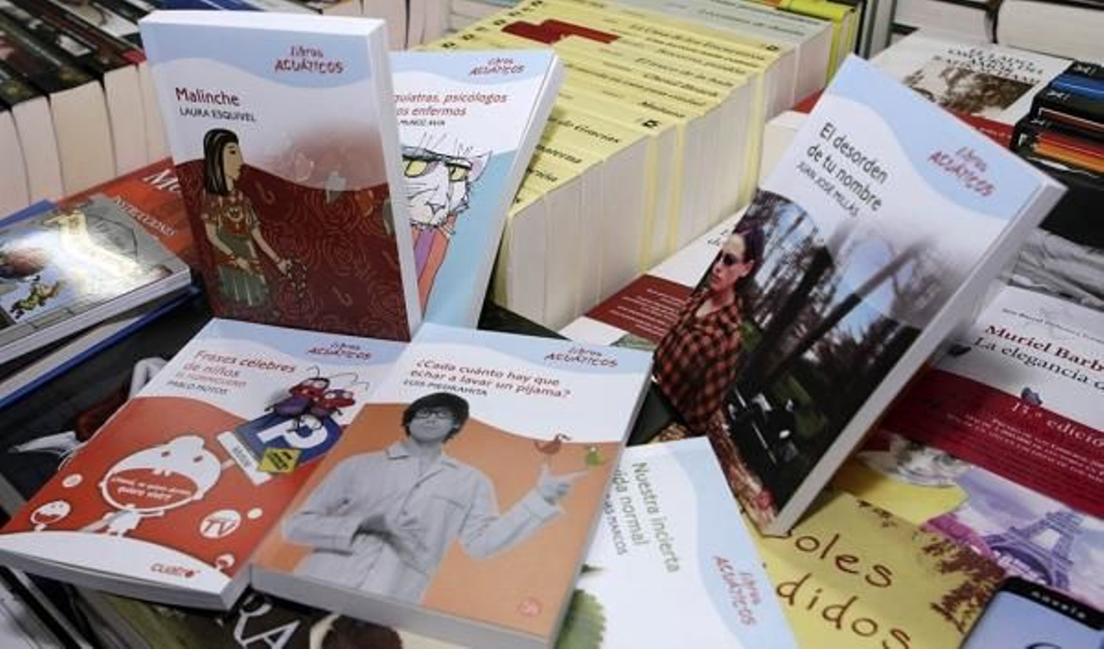 Los libros acuáticos están disponibles en el puesto que Librouro tiene situado en la Feria del Libro. foto: lydia miranda.