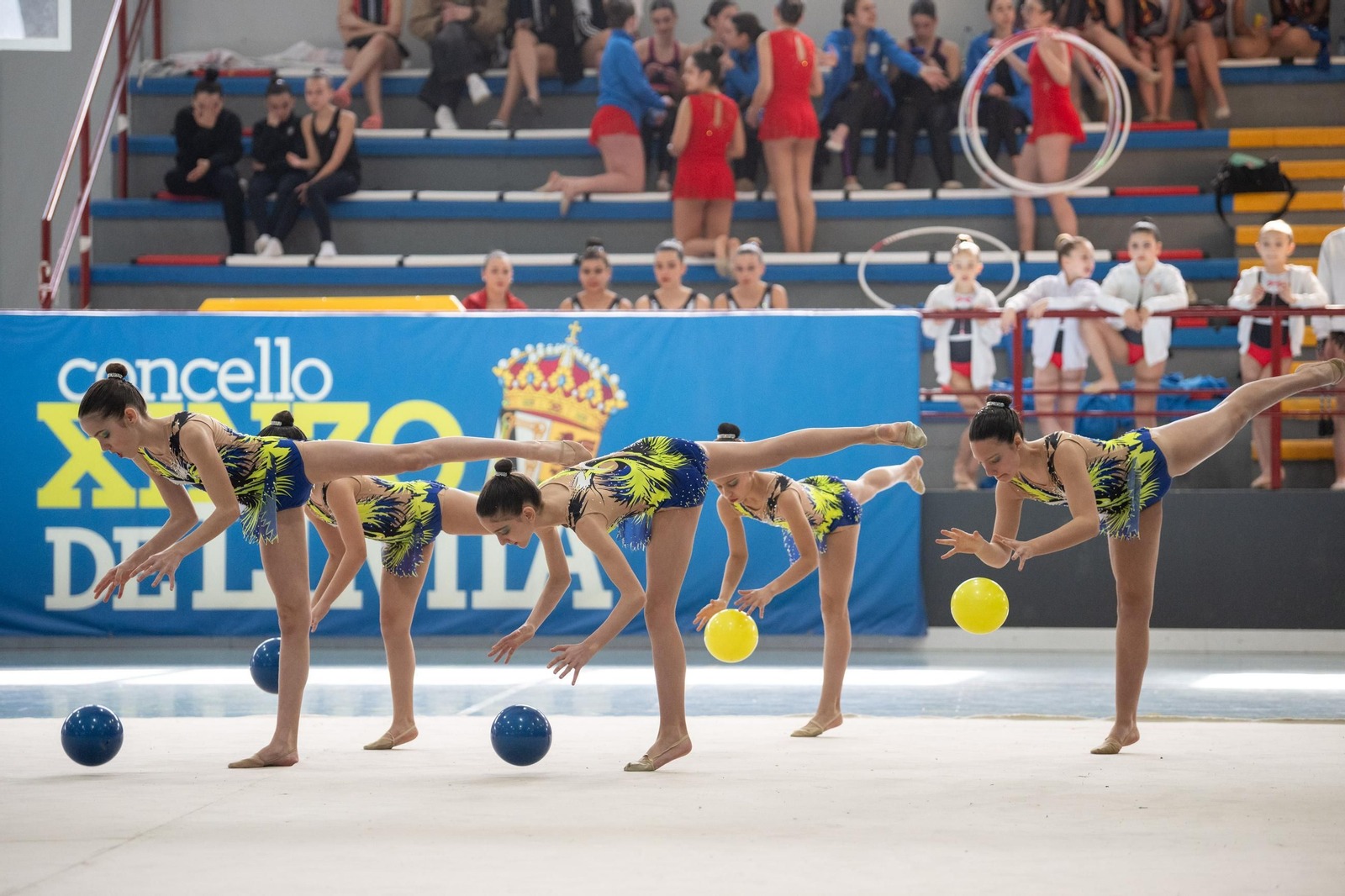 Galería | La Copa Diputación de Gimnasia Rítmica vuelve un año más