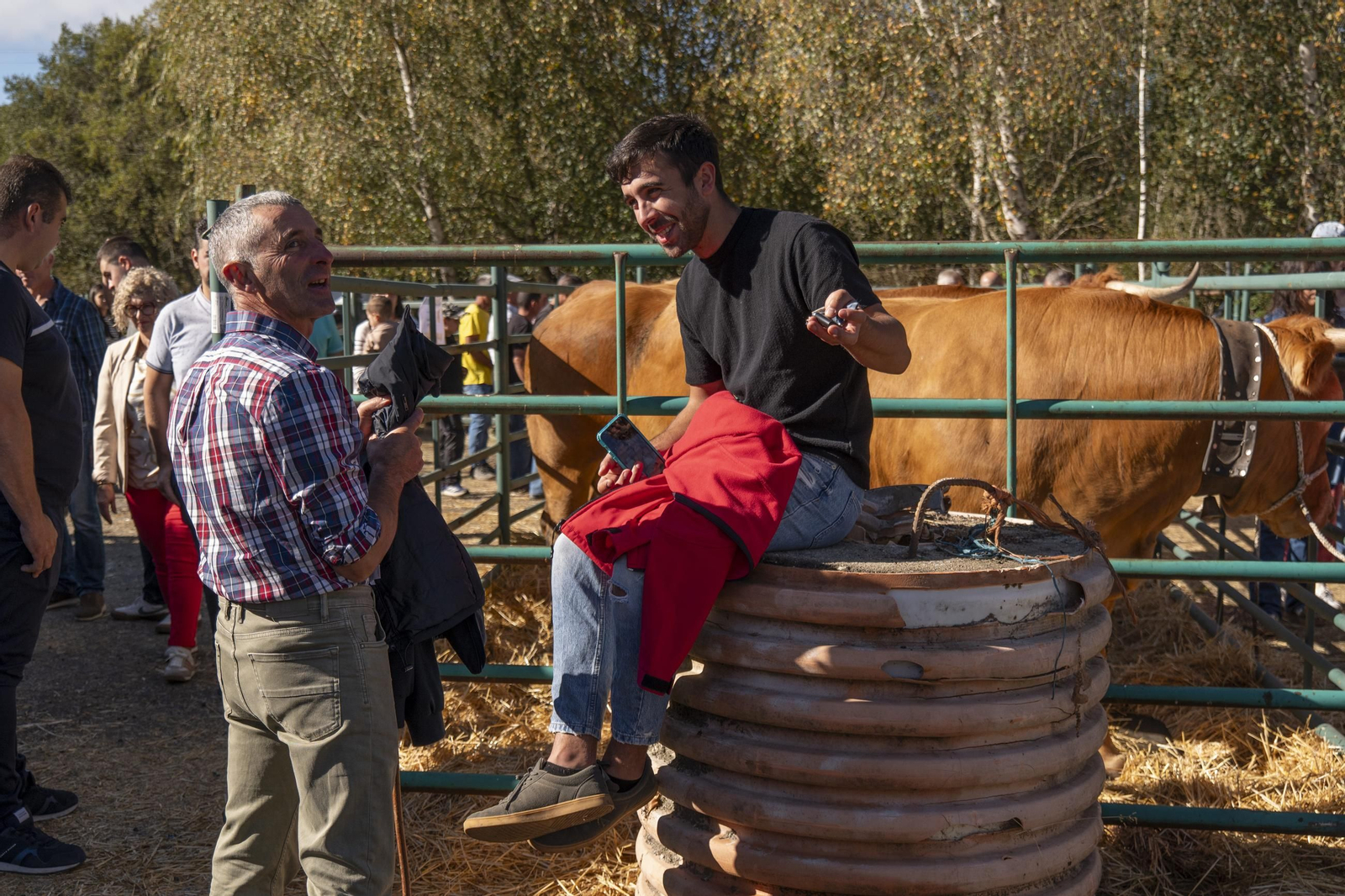 Galería | Montederramo presume de carne, ganado y ambiente festivo