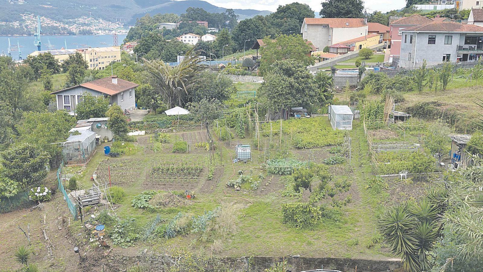 Otra imagen clásica de la mezcla de lo rural y lo residencial dentro de Vigo, con parcelas y cultivos.