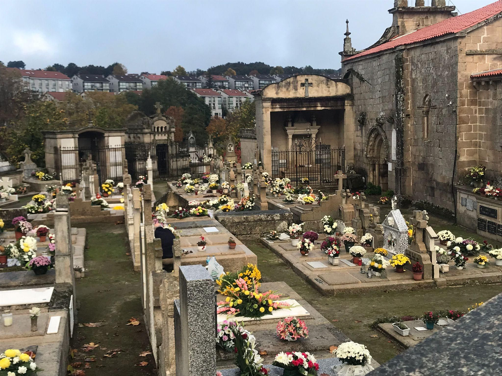 WhatsApp Image 2021-11-01 at 10.17.38 (1)