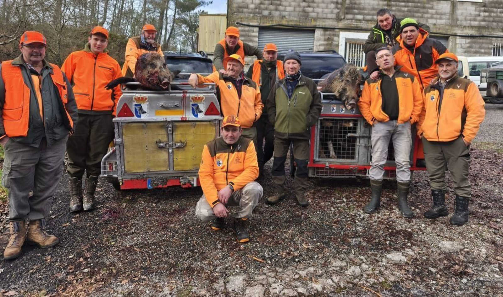 Cuadrilla de O Irixo posando con sus presas, tras una batida organizada para cazar jabalís.