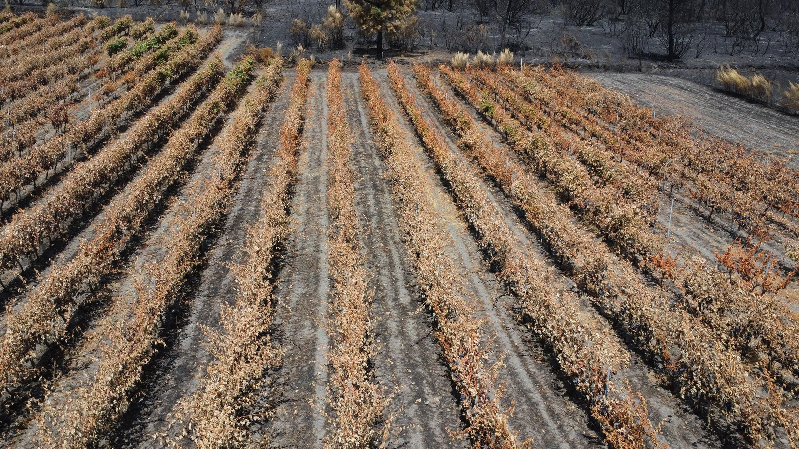 miradoiro san martio a rua 3.JPG