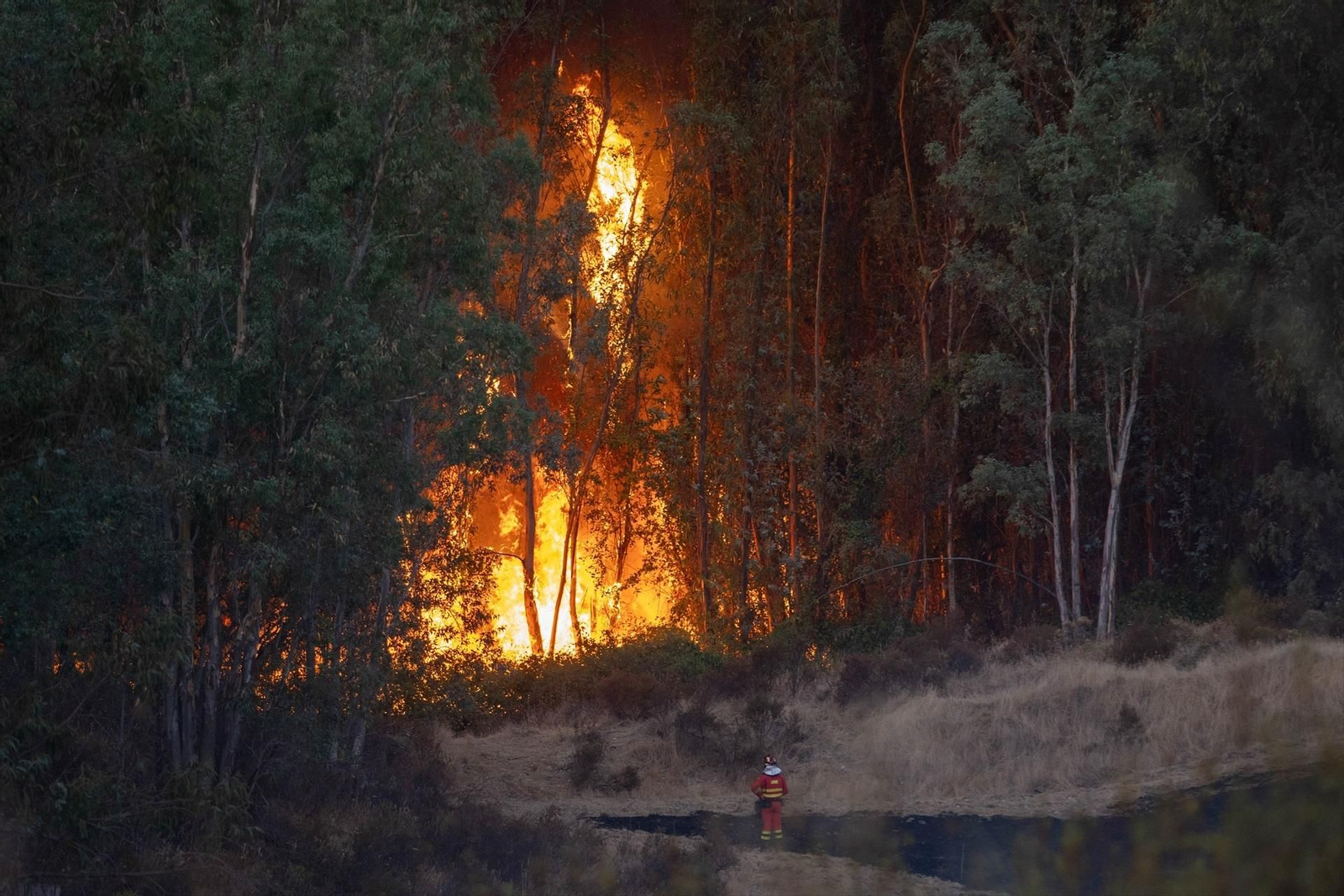 El incendio forestal en Niebla calcina ya 8.000 hectáreas.