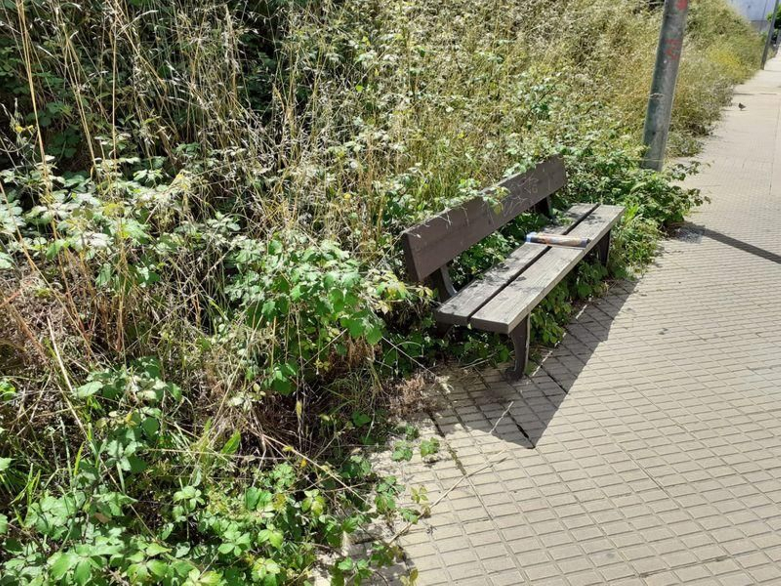 fotodenuncias_23-05-2021_3_resultado