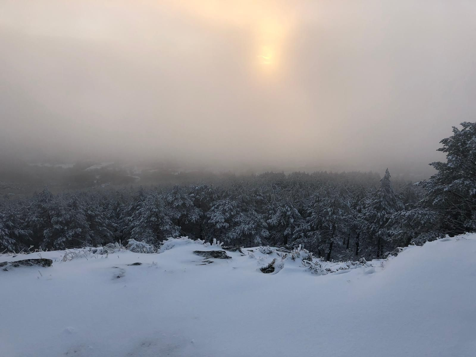 La nieve cubrió de blanco el Alto do Foxo
