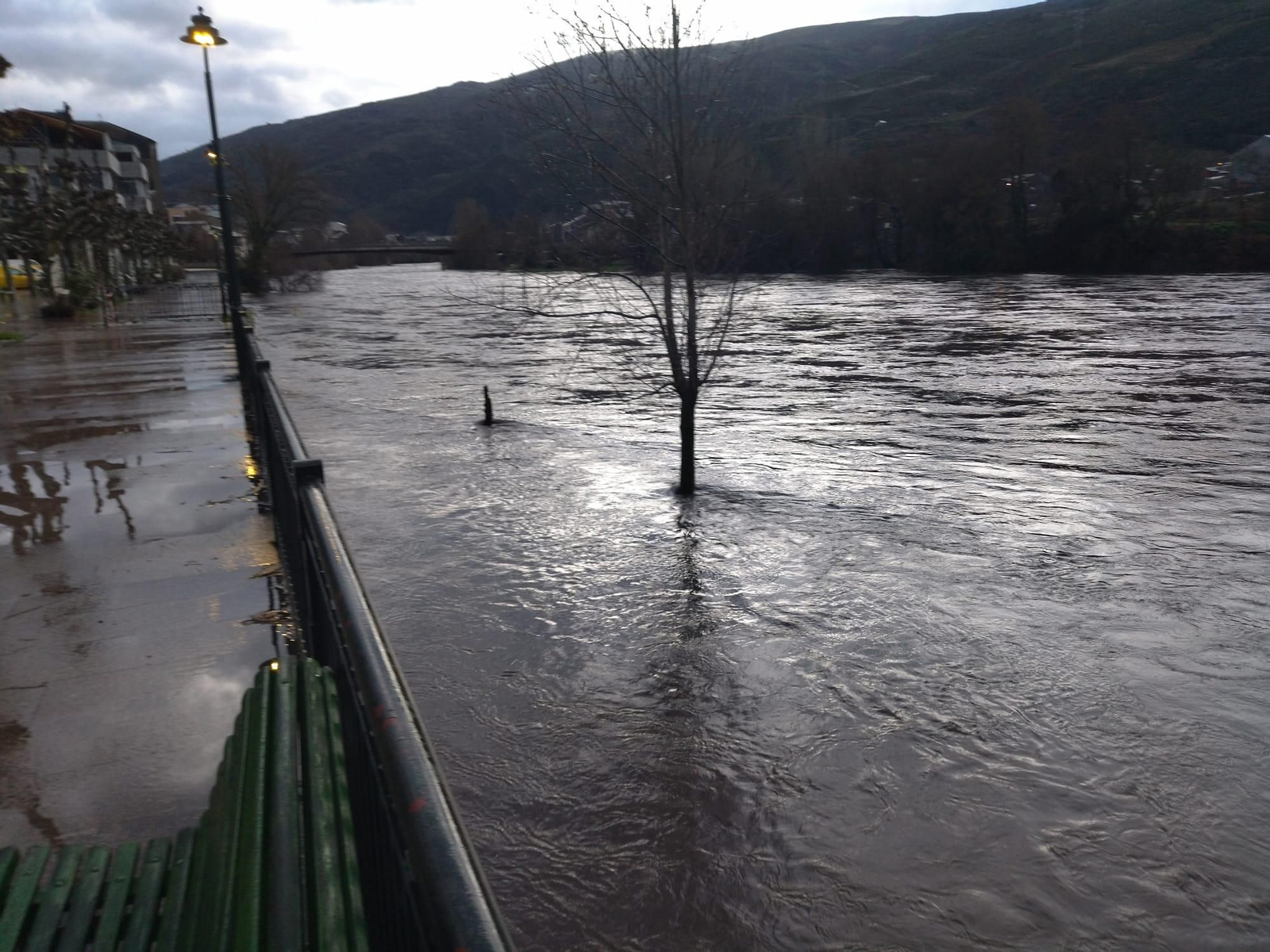 Galería | Las lluvias causan desbordamientos en los ríos de la provincia de Ourense