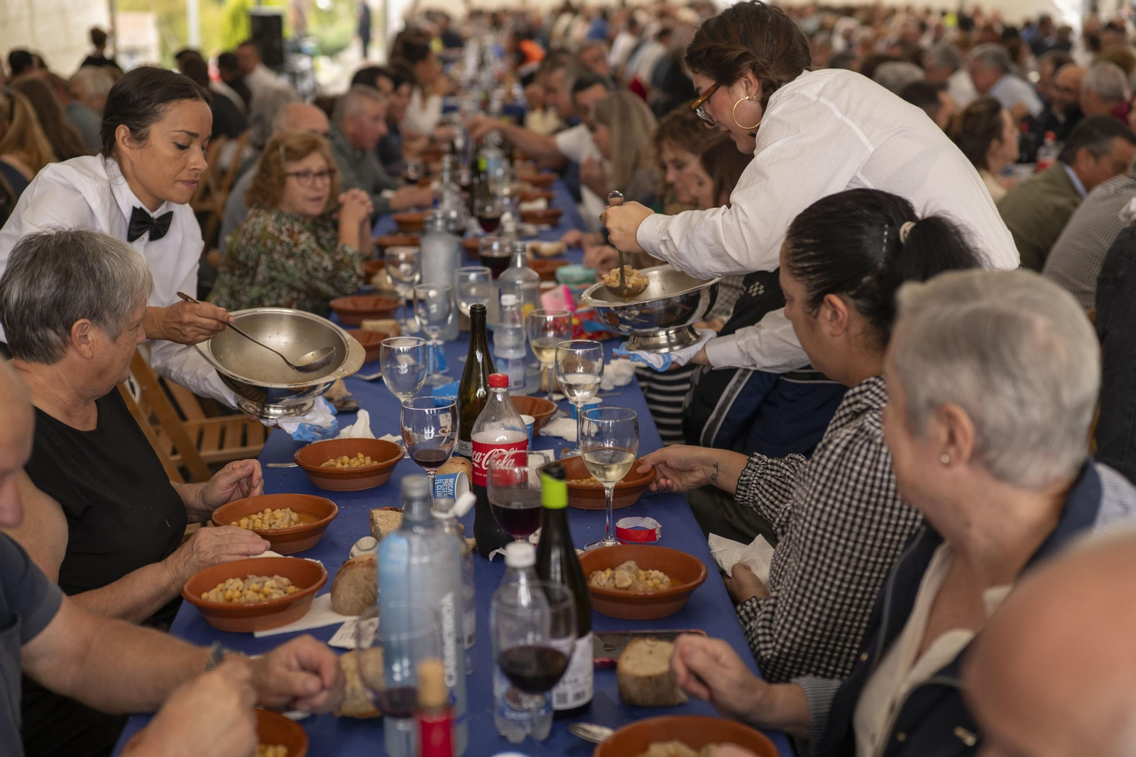 Galería | Piñor se llena de sabor con su Festa dos Callos