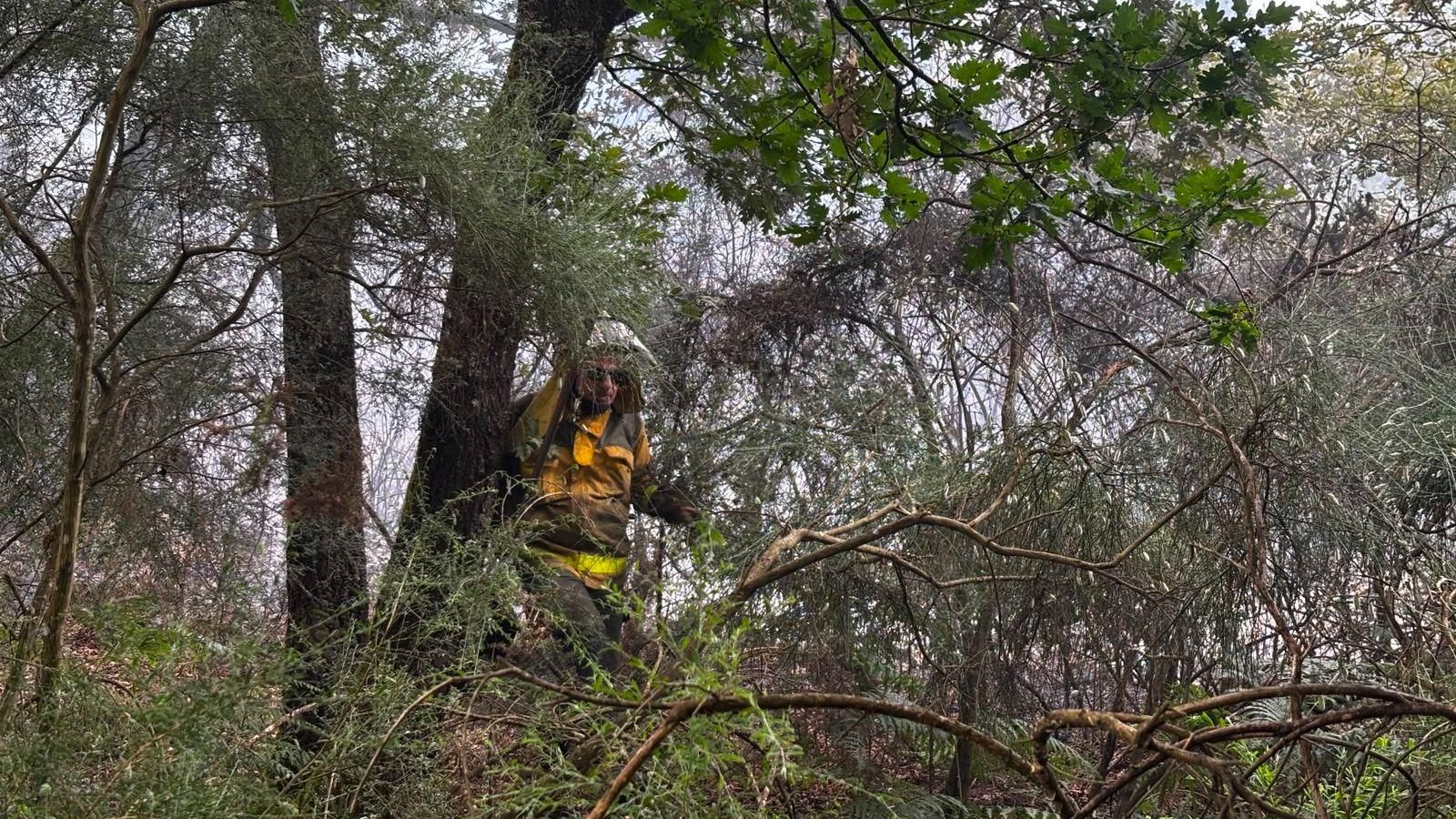 La zona del incendio mostraba un difícil acceso.