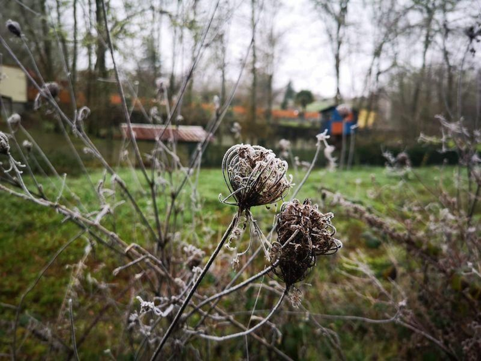 Jornada de frío en Carballiño // FOTO: MARTIÑO PINAL