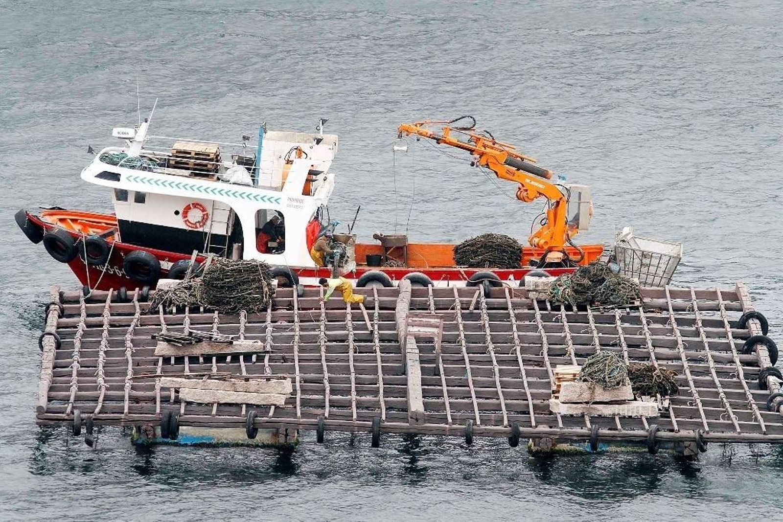 Un barco cargando el mejillón producido en una de las bateas de la Ría de Vigo.