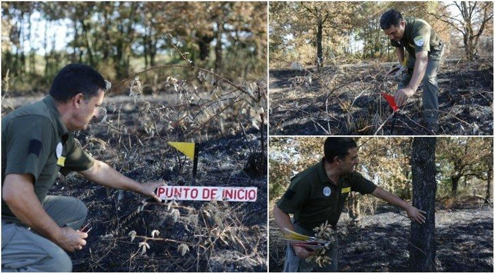 Unha vez analizado todo o perímetro do incendio, o axente forestal Amadeo Ferreiro coloca o cartel de punto de inicio e a bandeira amarela, que serve para identificar o lugar exacto da primeira chispa que provocou o lume.