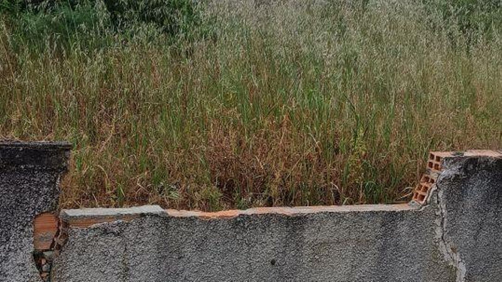 Situación de abandono en Amoeiro.
