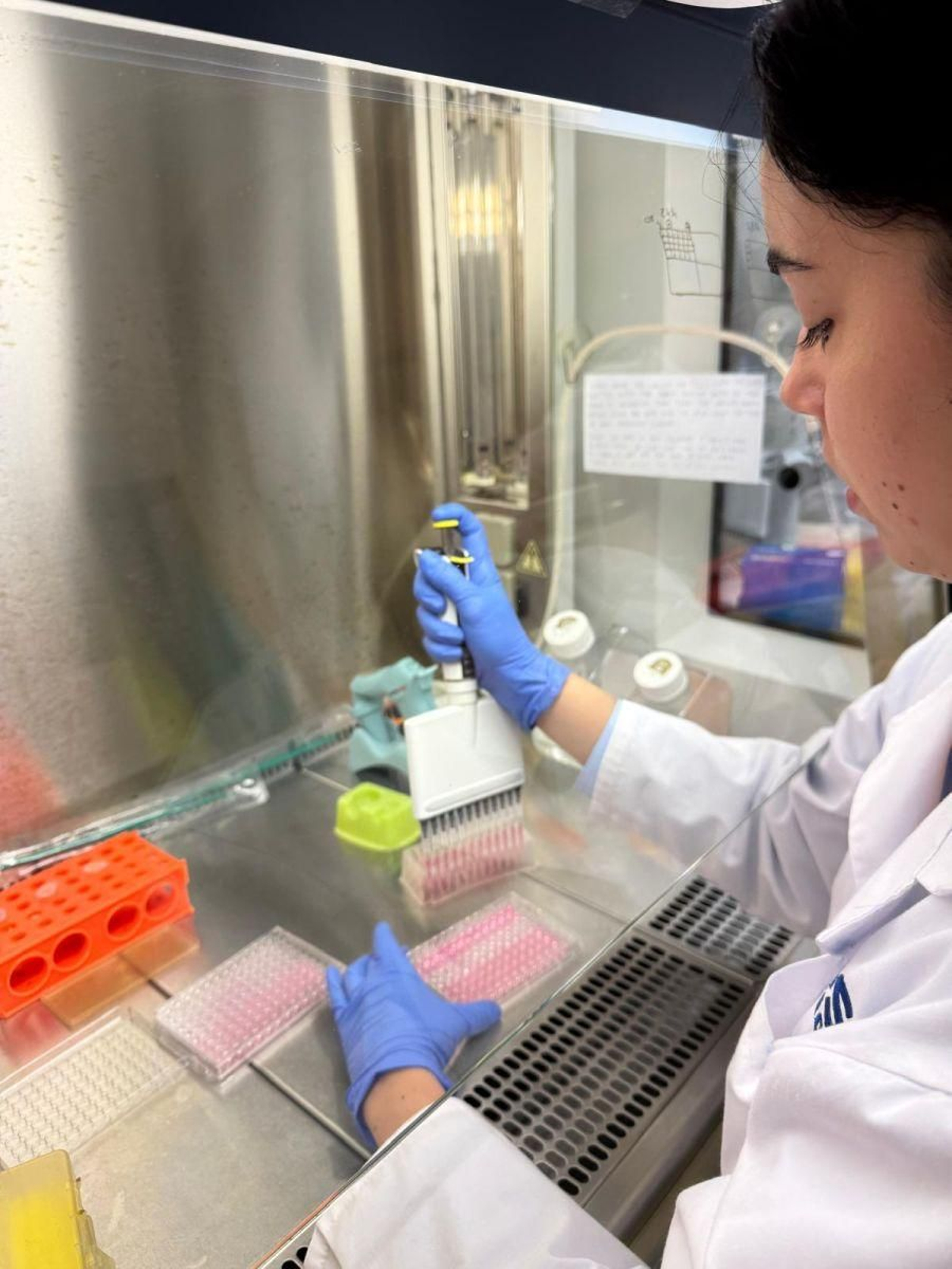 Elena Martínez durante un ensayo en el laboratorio.