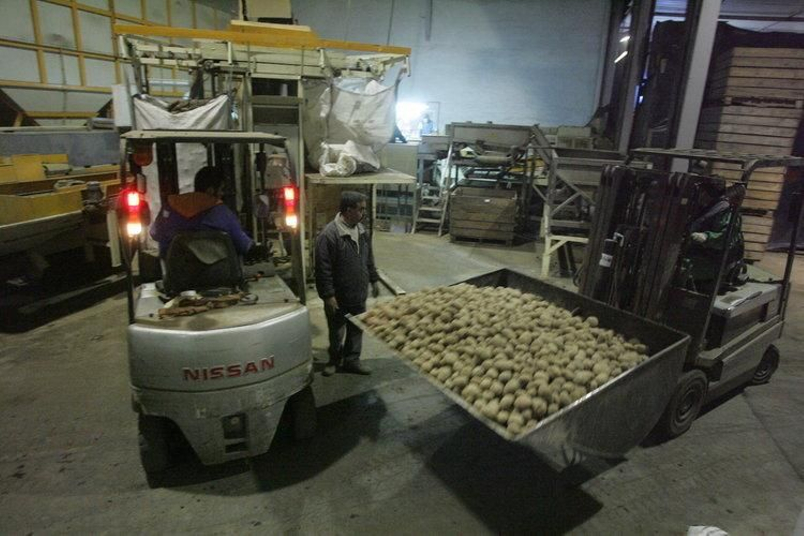 La llegada tardía del frío y el exceso de producto en el mercado limita la salida de patata del almacen.