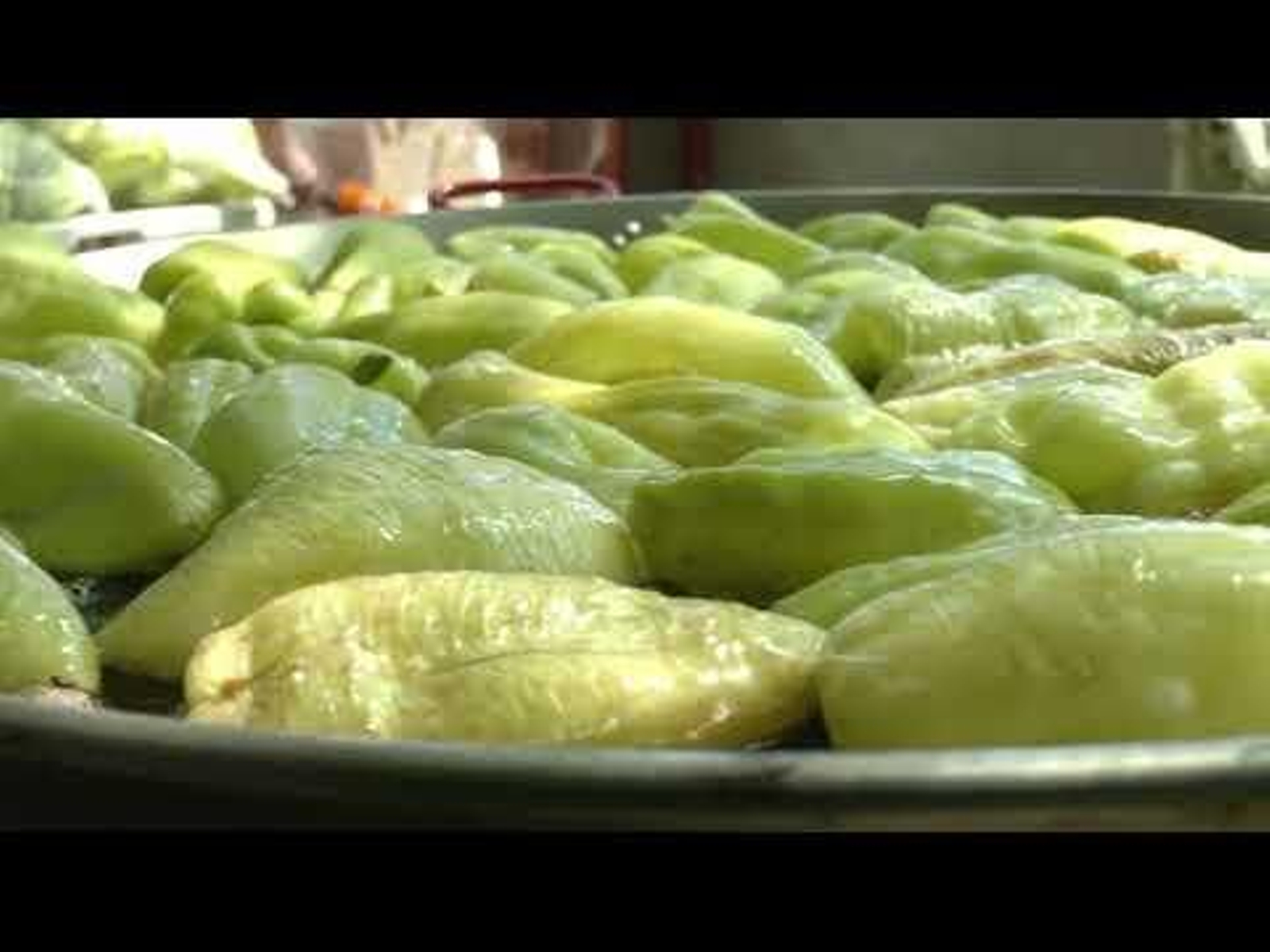 Más de 1 500 kilos de pimientos de Oímbra conquistan los paladares en su gran fiesta 07.08.23