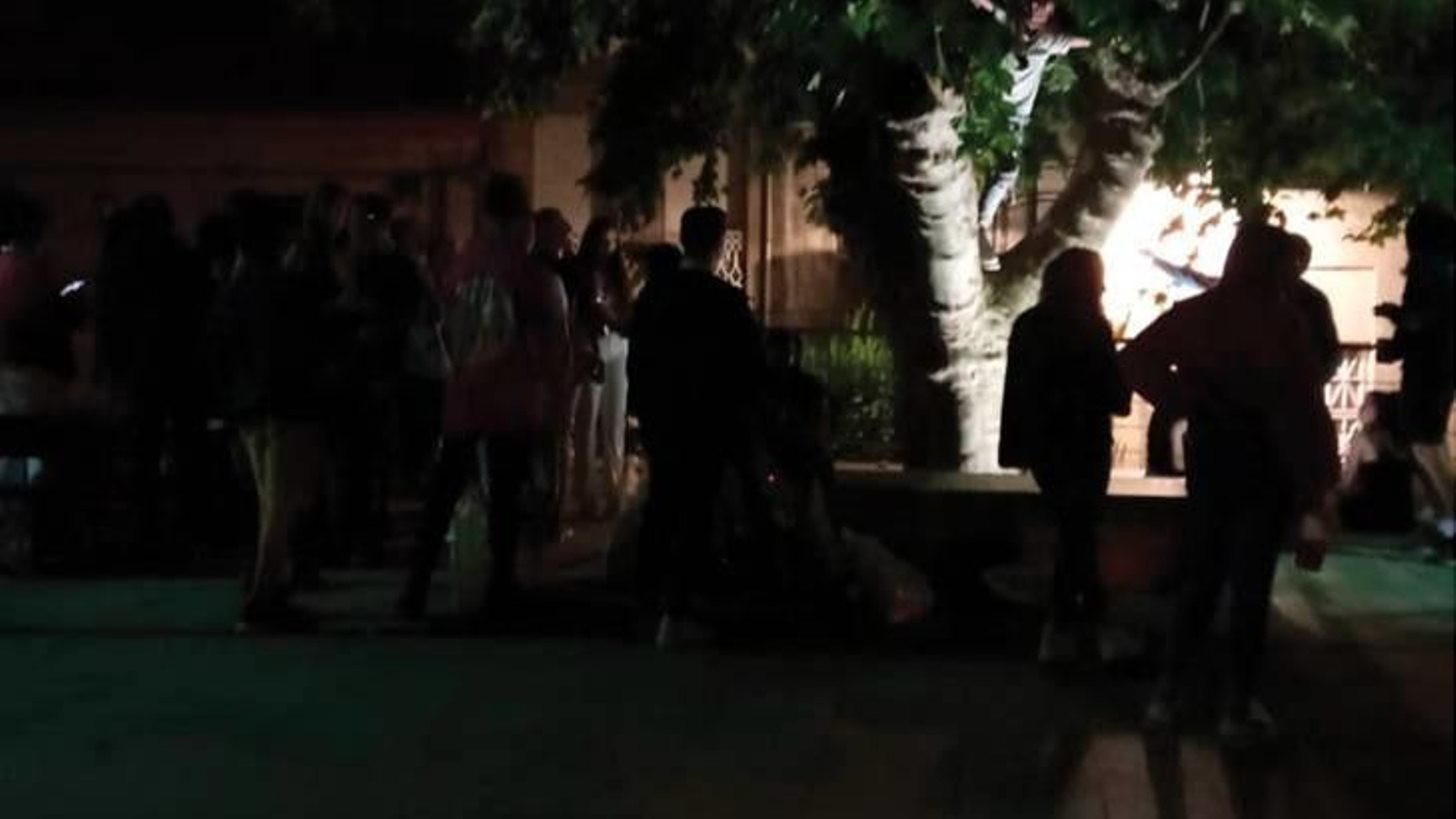 Uno de los participantes en el botellón, subido a un árbol.